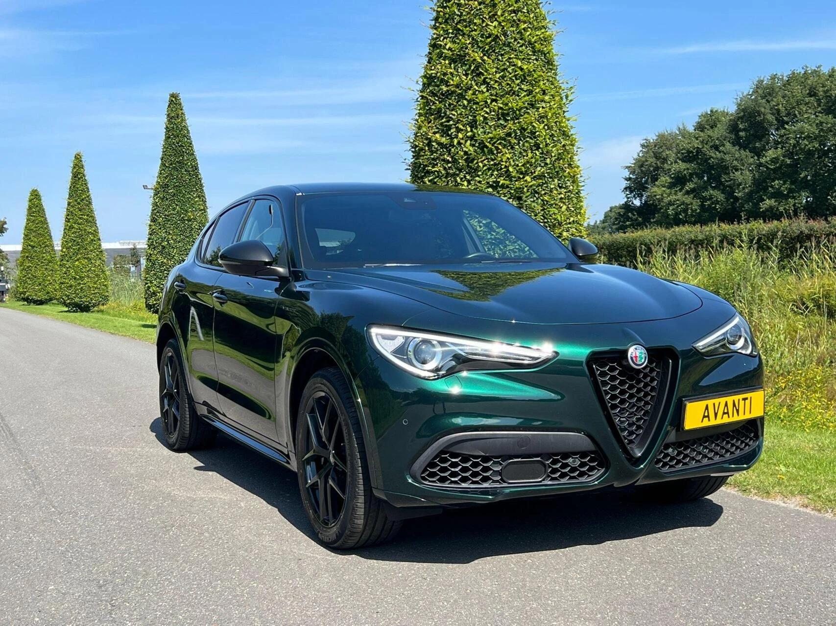Hoofdafbeelding Alfa Romeo Stelvio