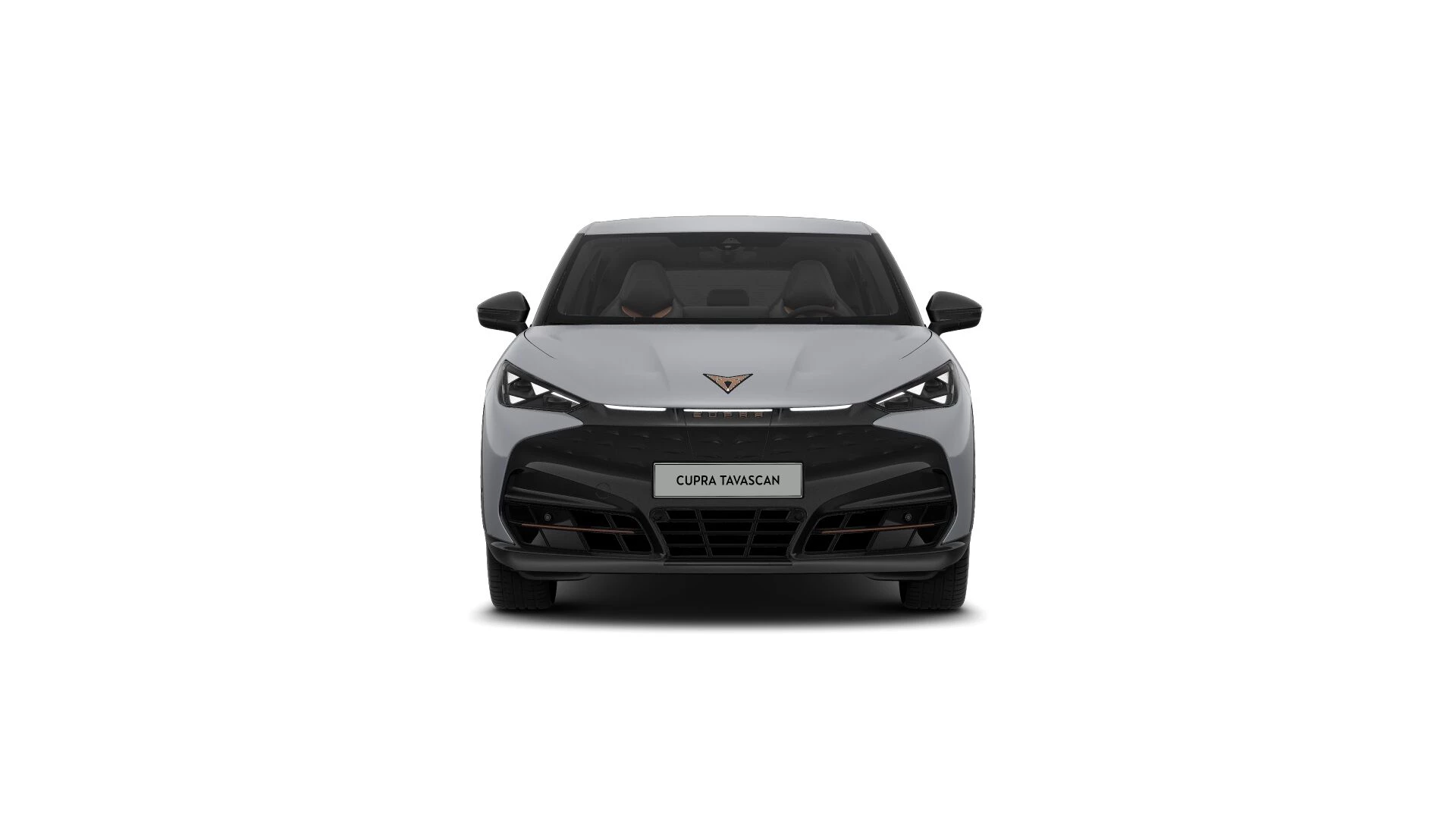 Hoofdafbeelding CUPRA Tavascan