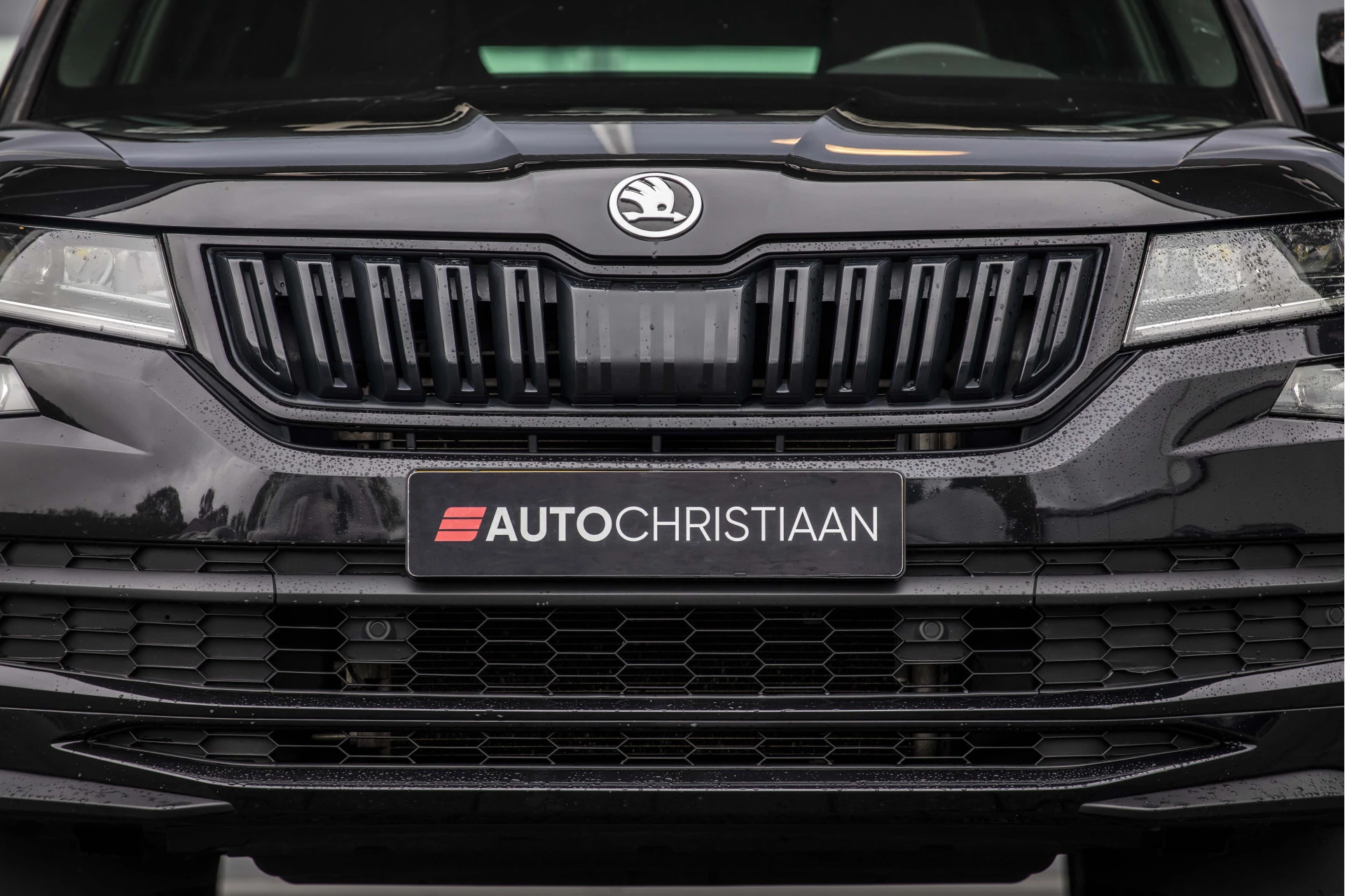 Hoofdafbeelding Škoda Kodiaq