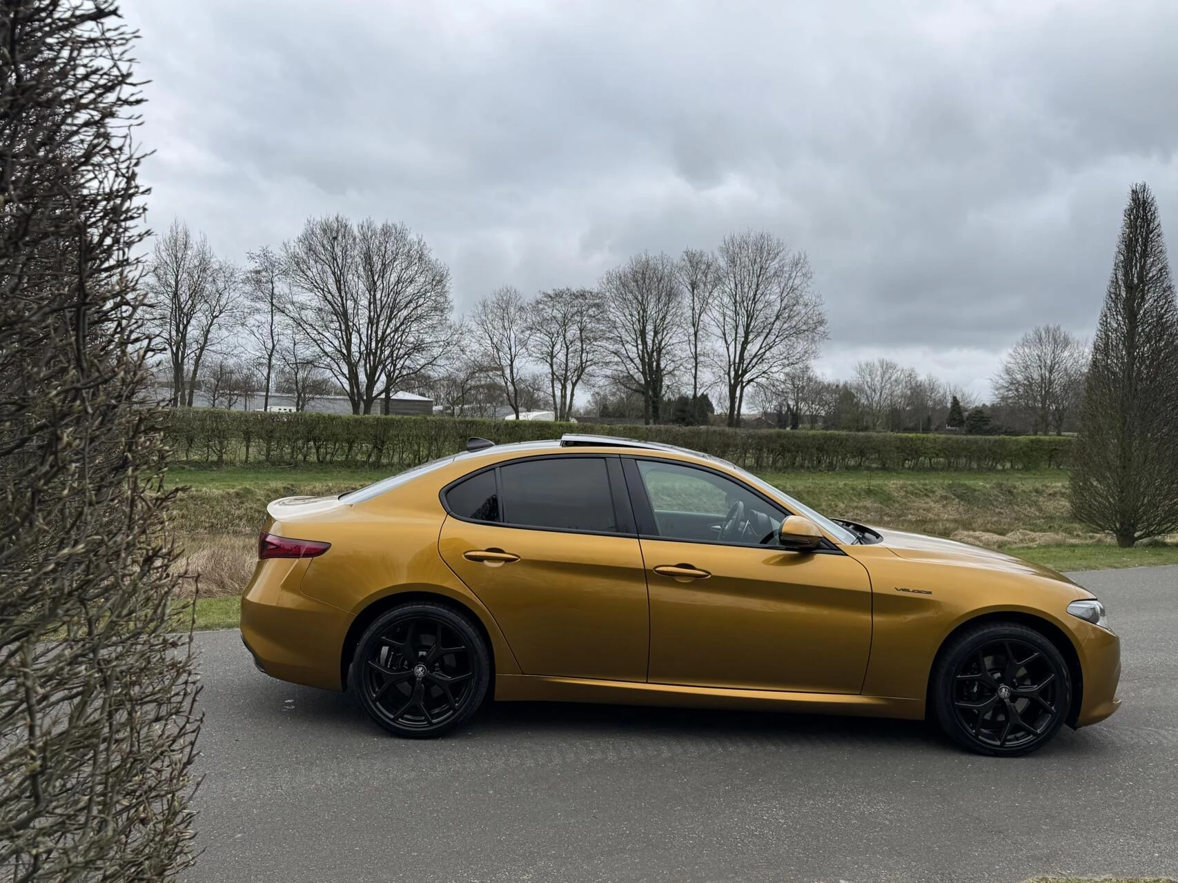 Hoofdafbeelding Alfa Romeo Giulia