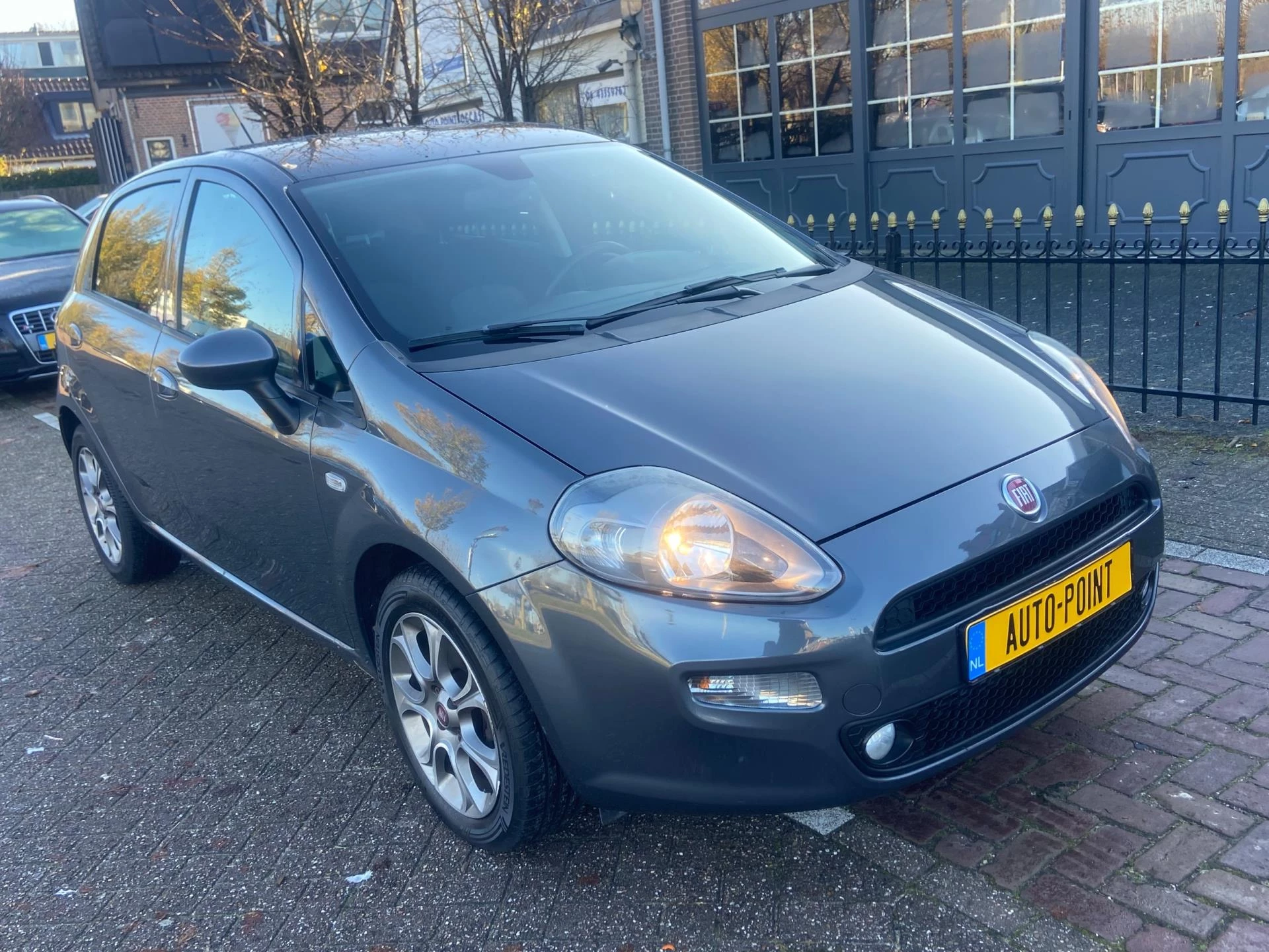 Hoofdafbeelding Fiat Punto
