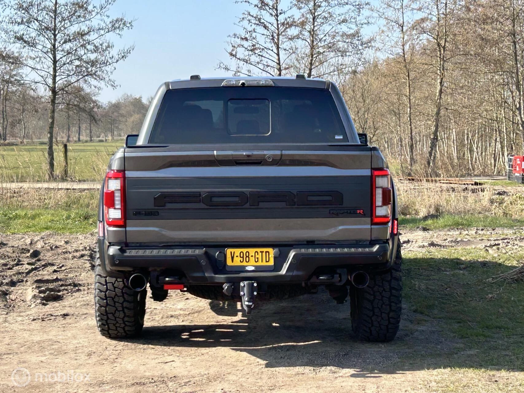 Hoofdafbeelding Ford F-150