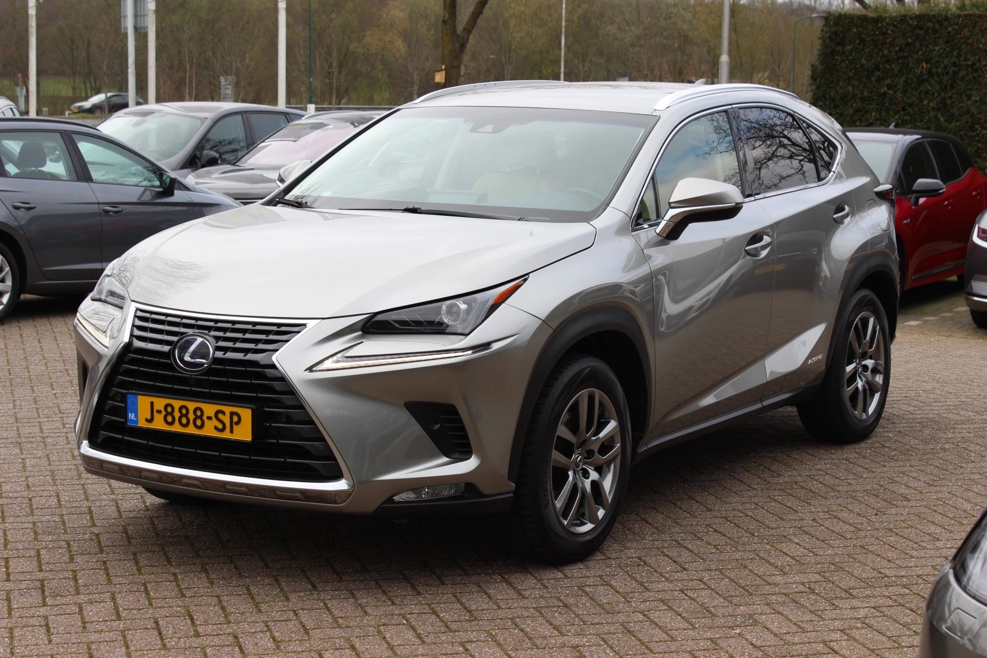 Hoofdafbeelding Lexus NX