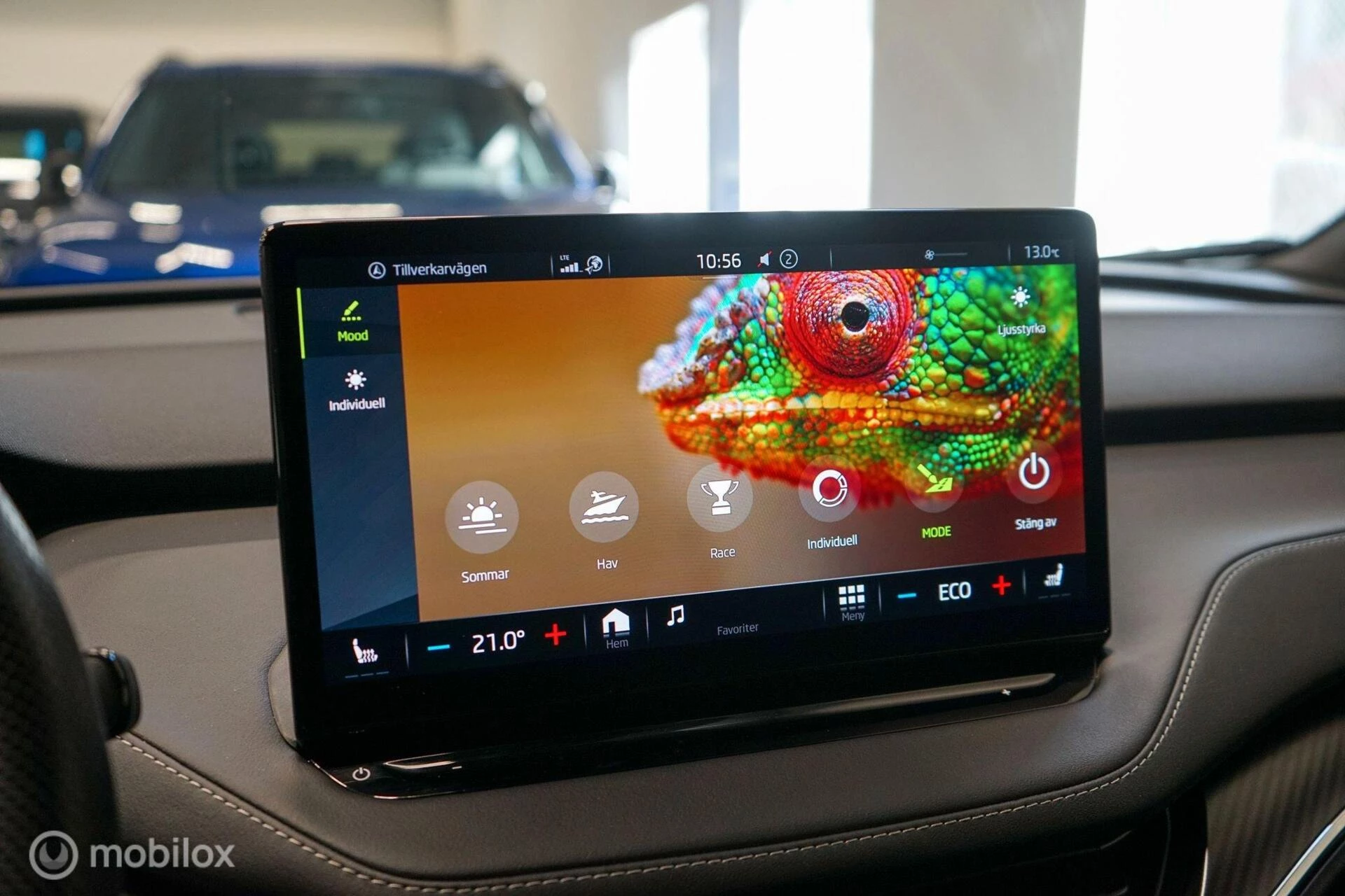 Hoofdafbeelding Škoda Enyaq iV