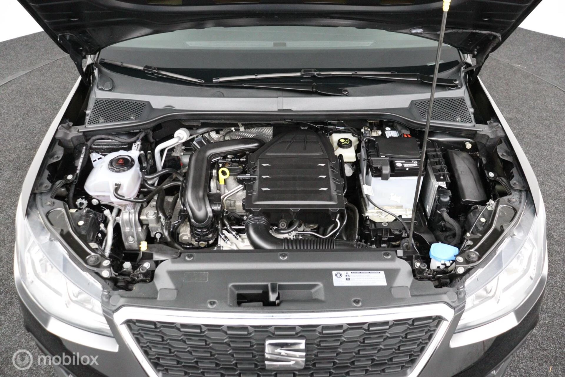 Hoofdafbeelding SEAT Arona