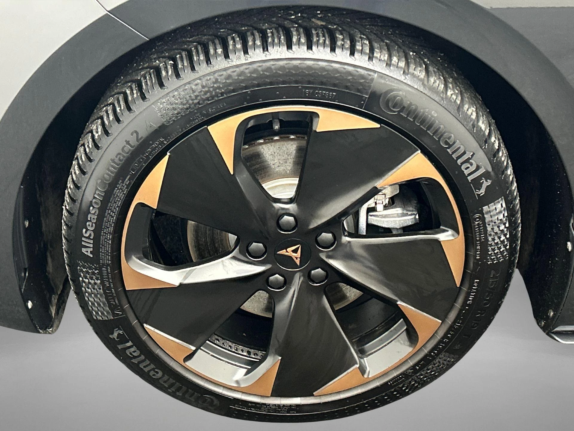 Hoofdafbeelding CUPRA Born