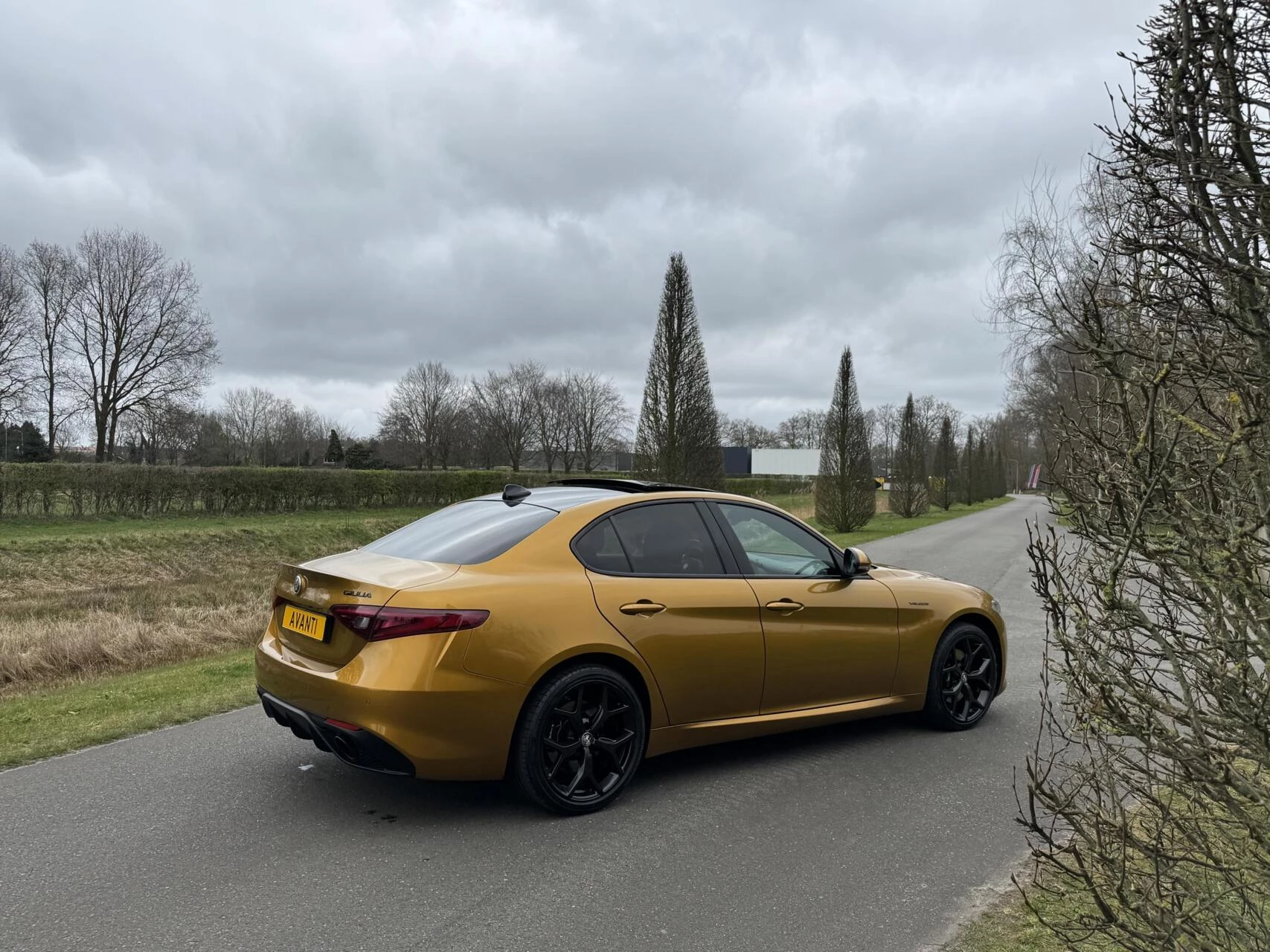 Hoofdafbeelding Alfa Romeo Giulia