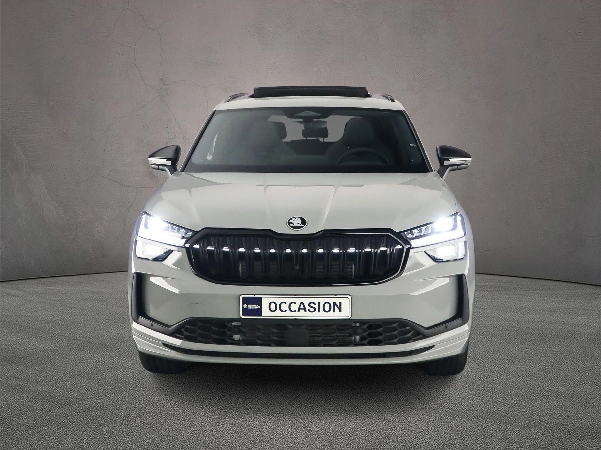 Hoofdafbeelding Škoda Kodiaq