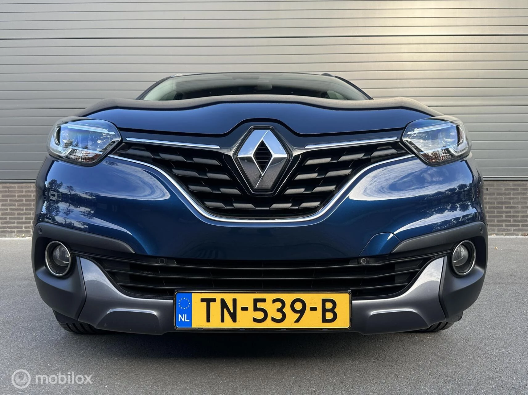 Hoofdafbeelding Renault Kadjar
