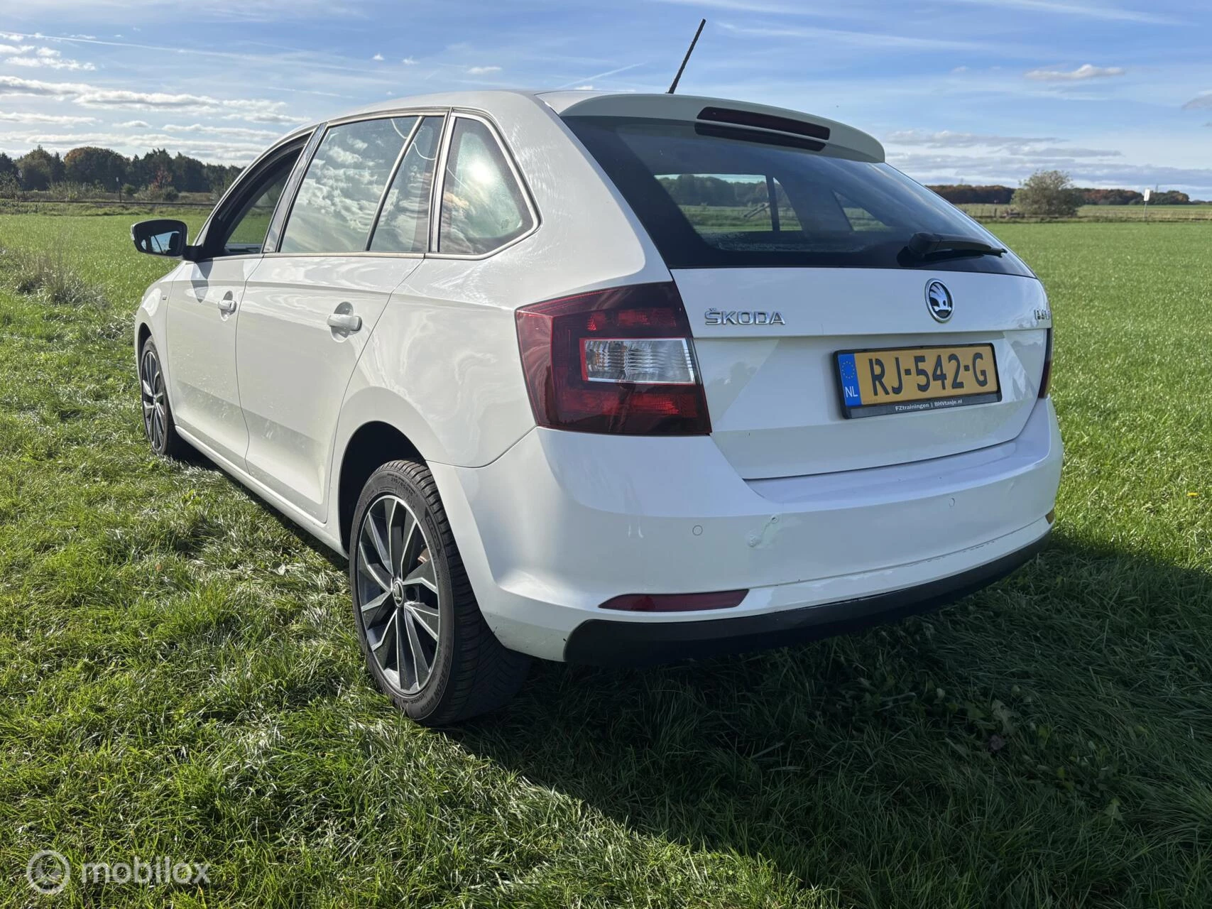 Hoofdafbeelding Škoda Rapid