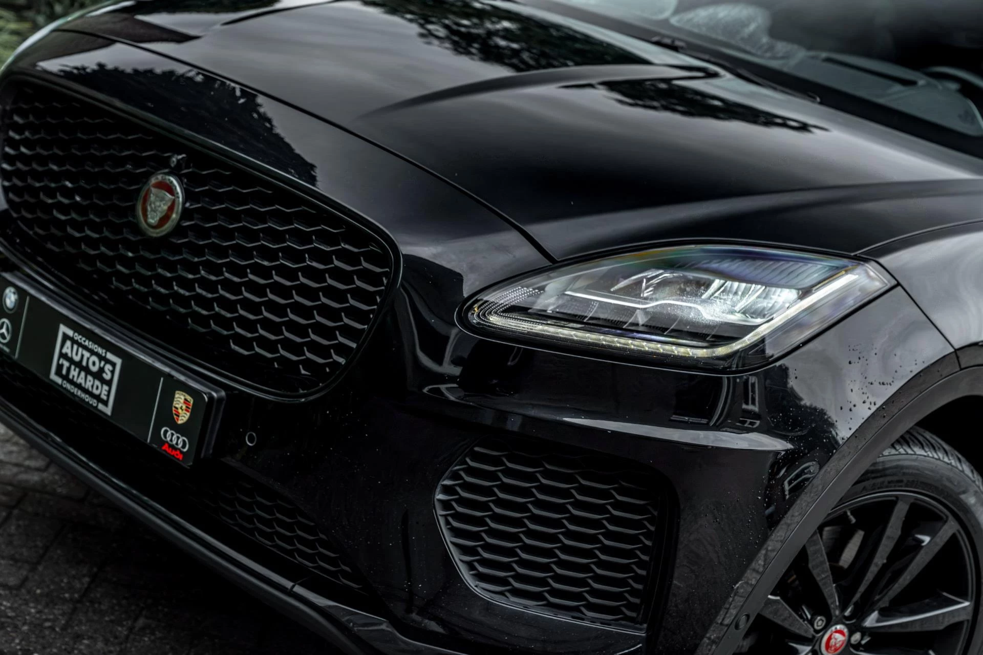Hoofdafbeelding Jaguar E-PACE