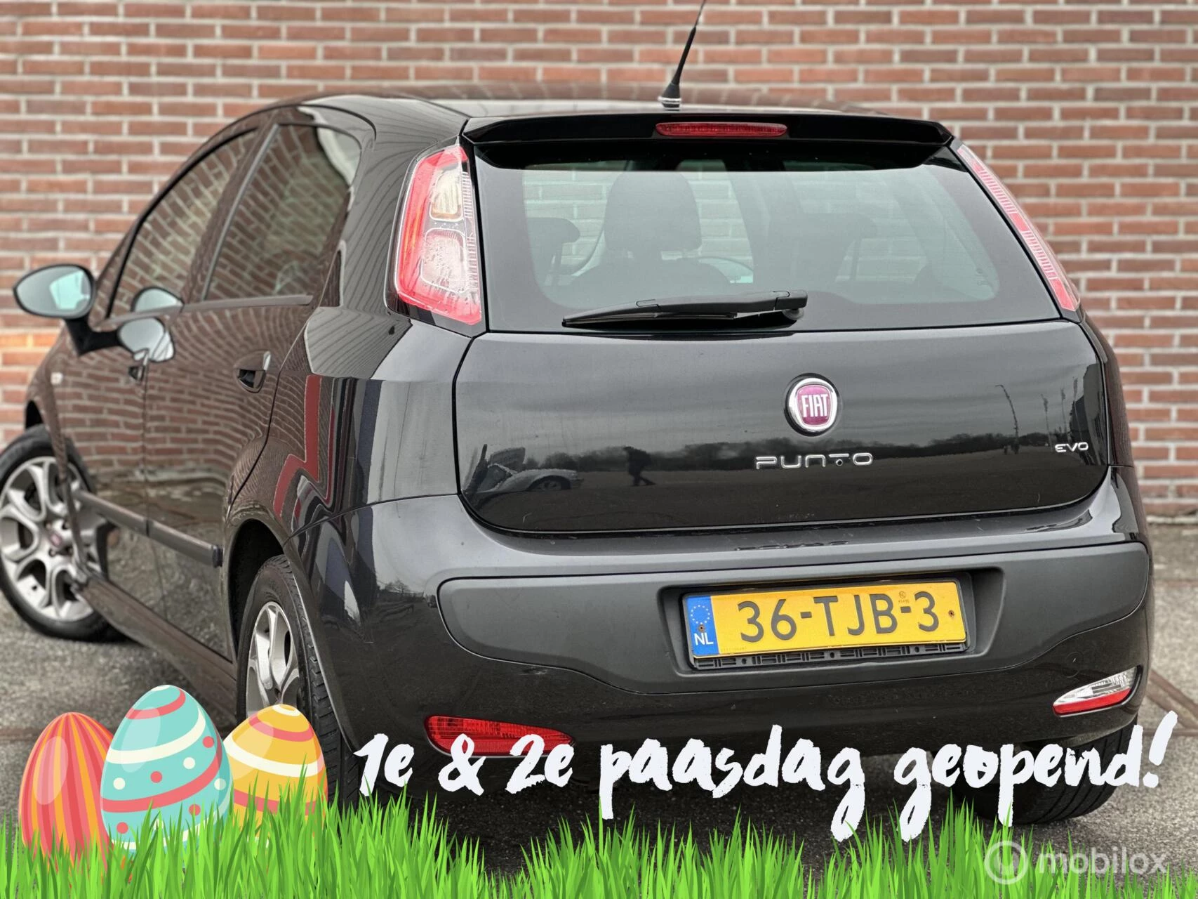 Hoofdafbeelding Fiat Punto