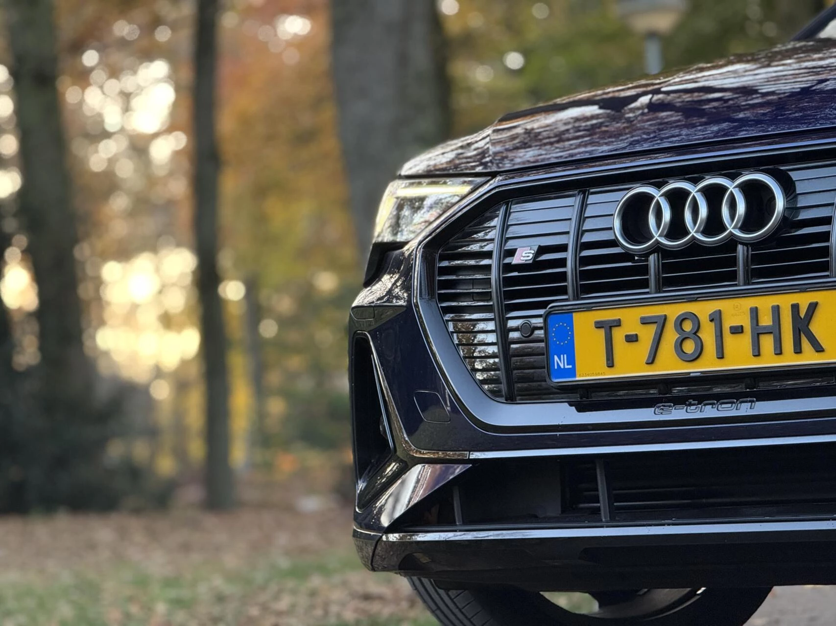 Hoofdafbeelding Audi e-tron