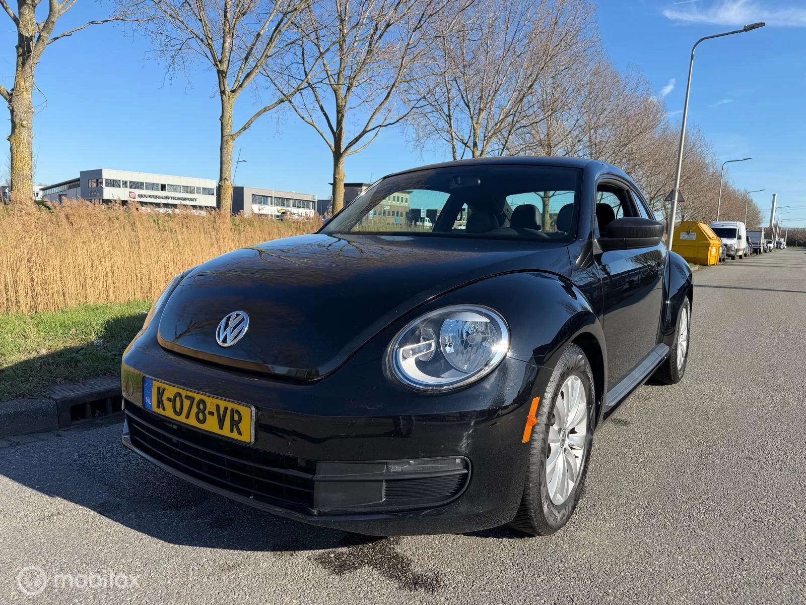 Hoofdafbeelding Volkswagen Beetle