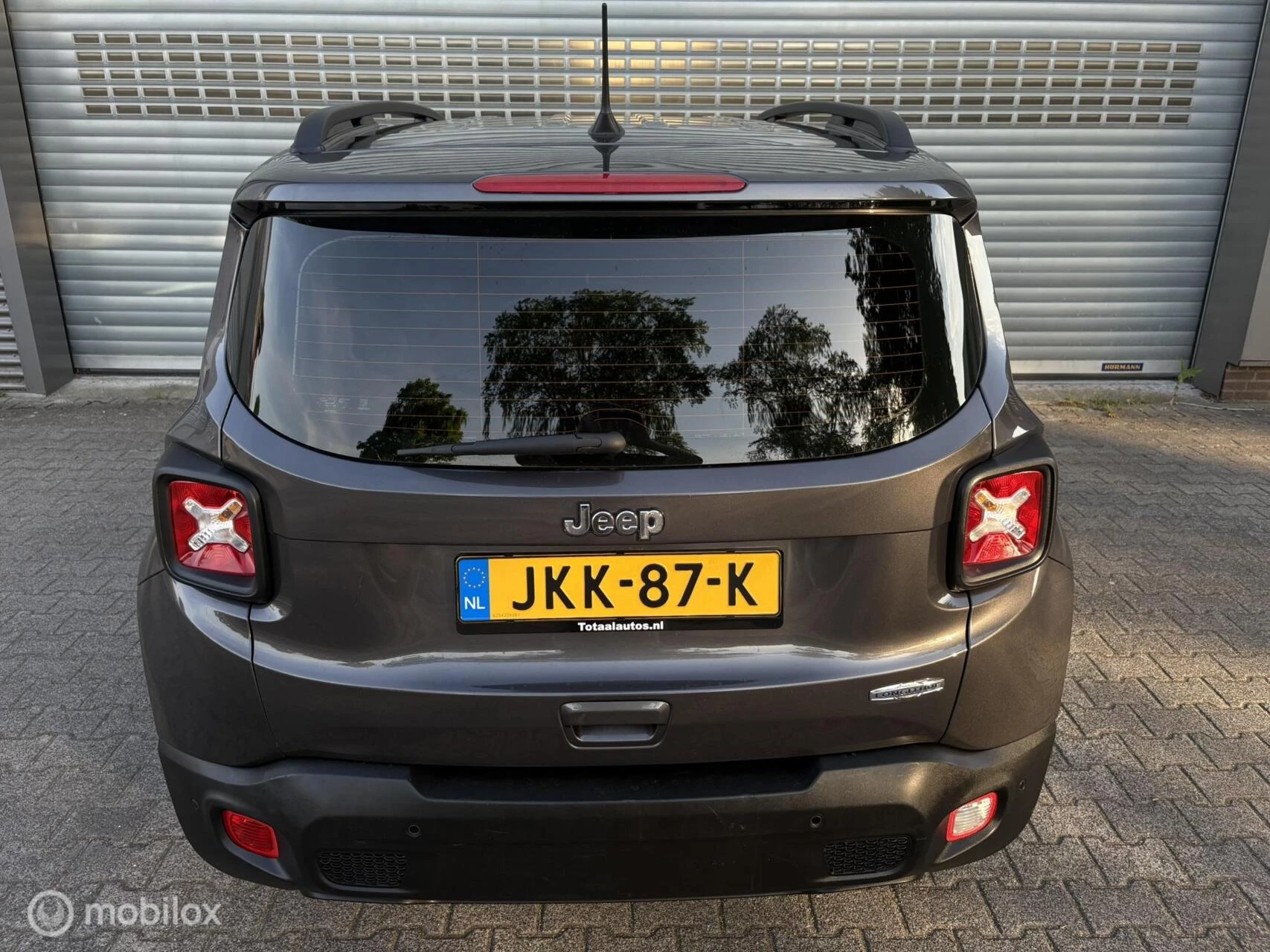 Hoofdafbeelding Jeep Renegade