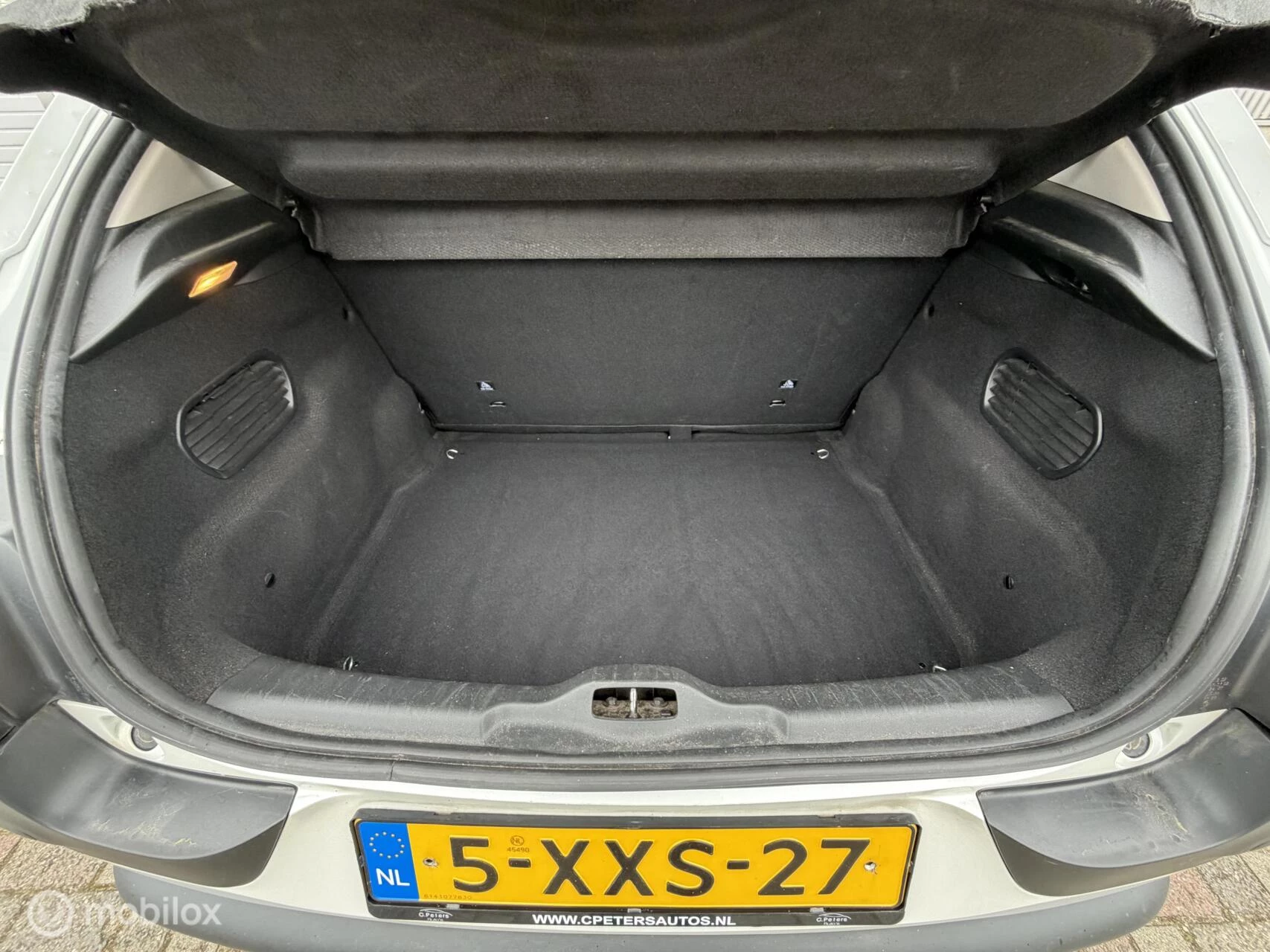 Hoofdafbeelding Citroën C4 Cactus