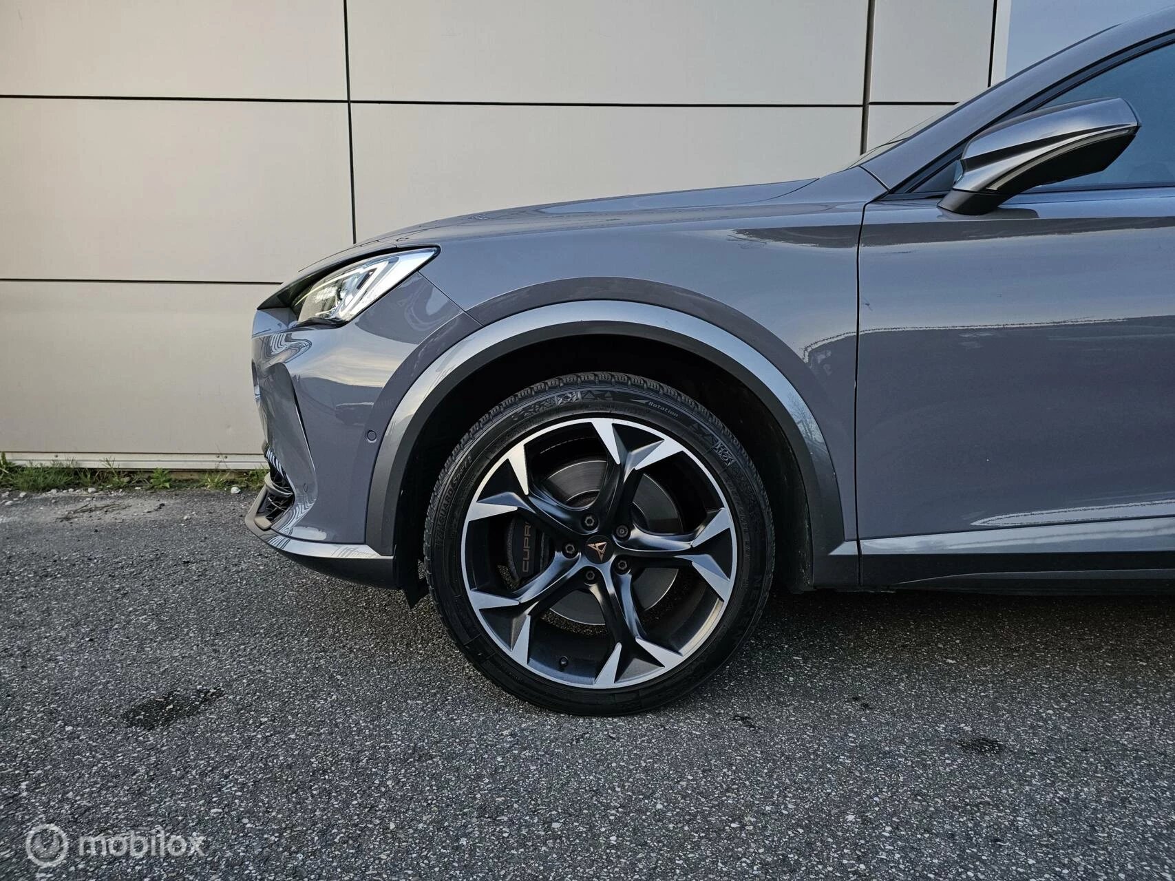 Hoofdafbeelding CUPRA Formentor