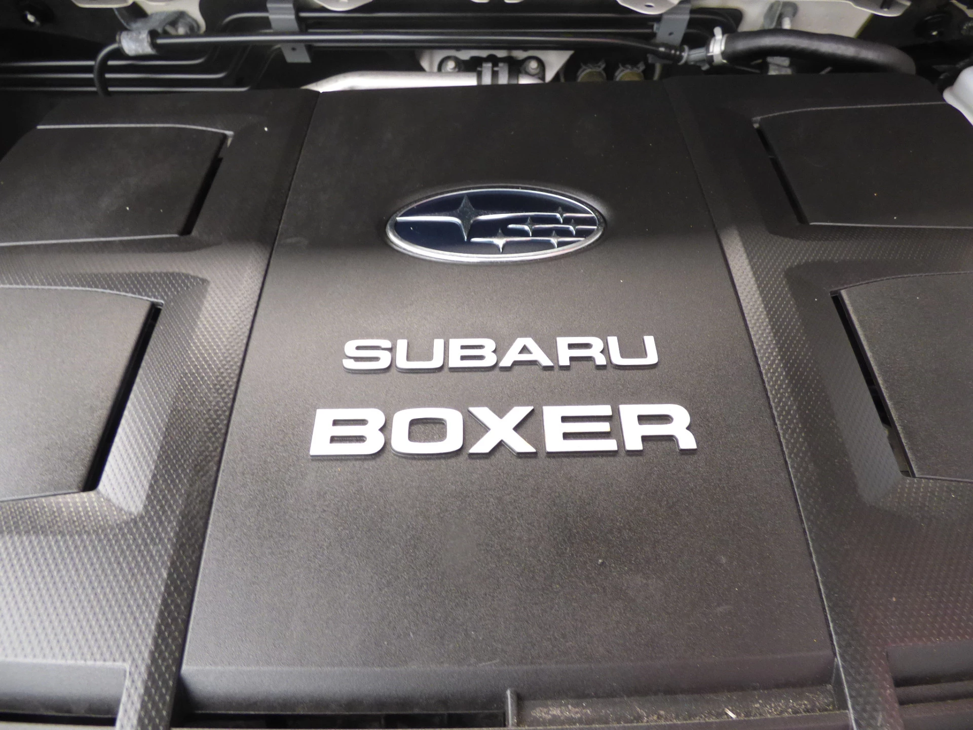 Hoofdafbeelding Subaru Forester
