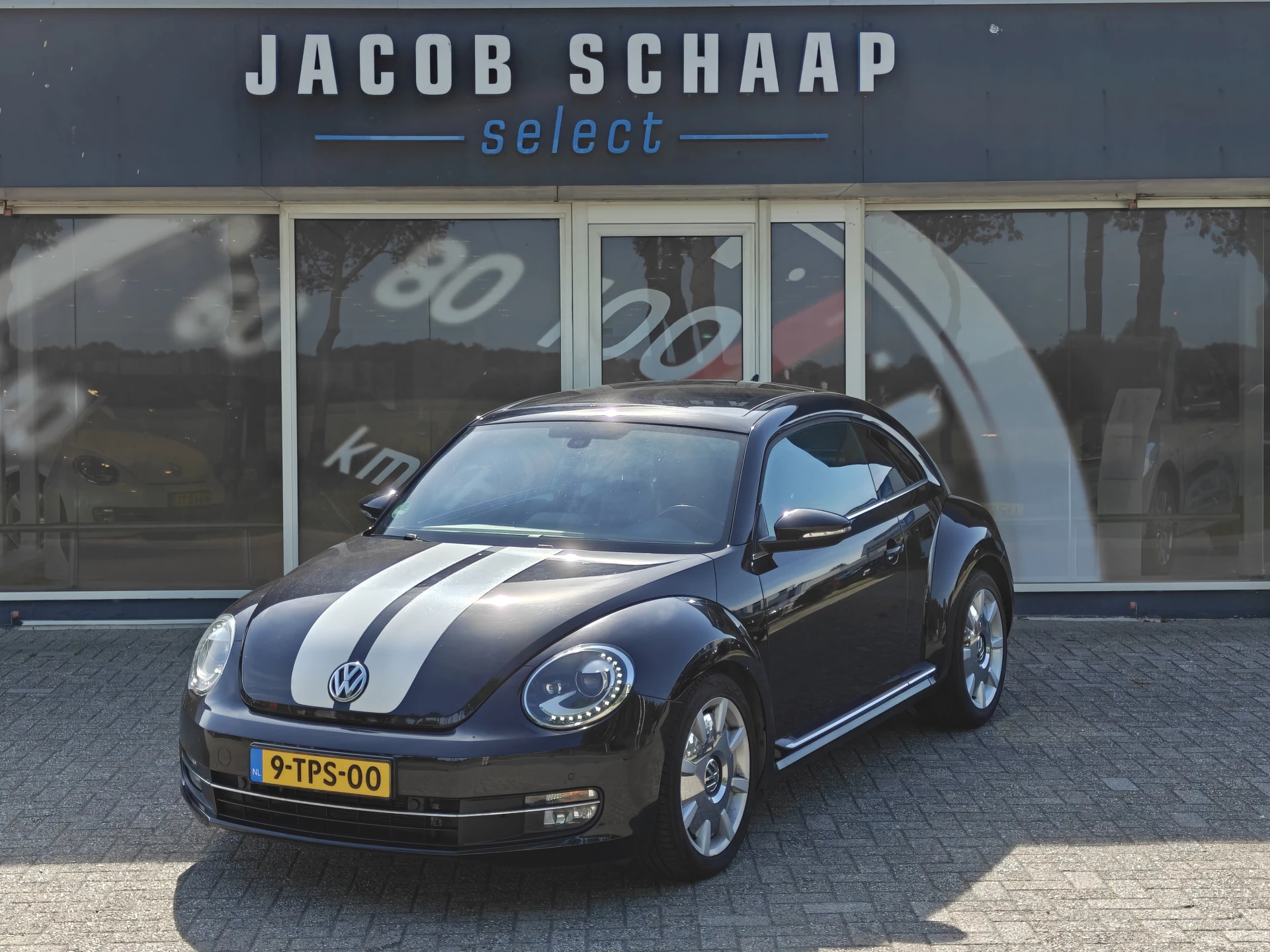 Hoofdafbeelding Volkswagen Beetle