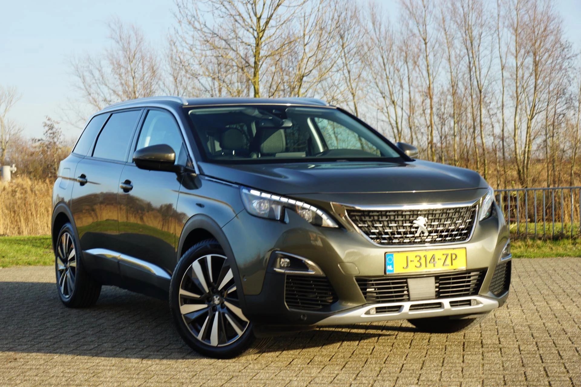 Hoofdafbeelding Peugeot 5008