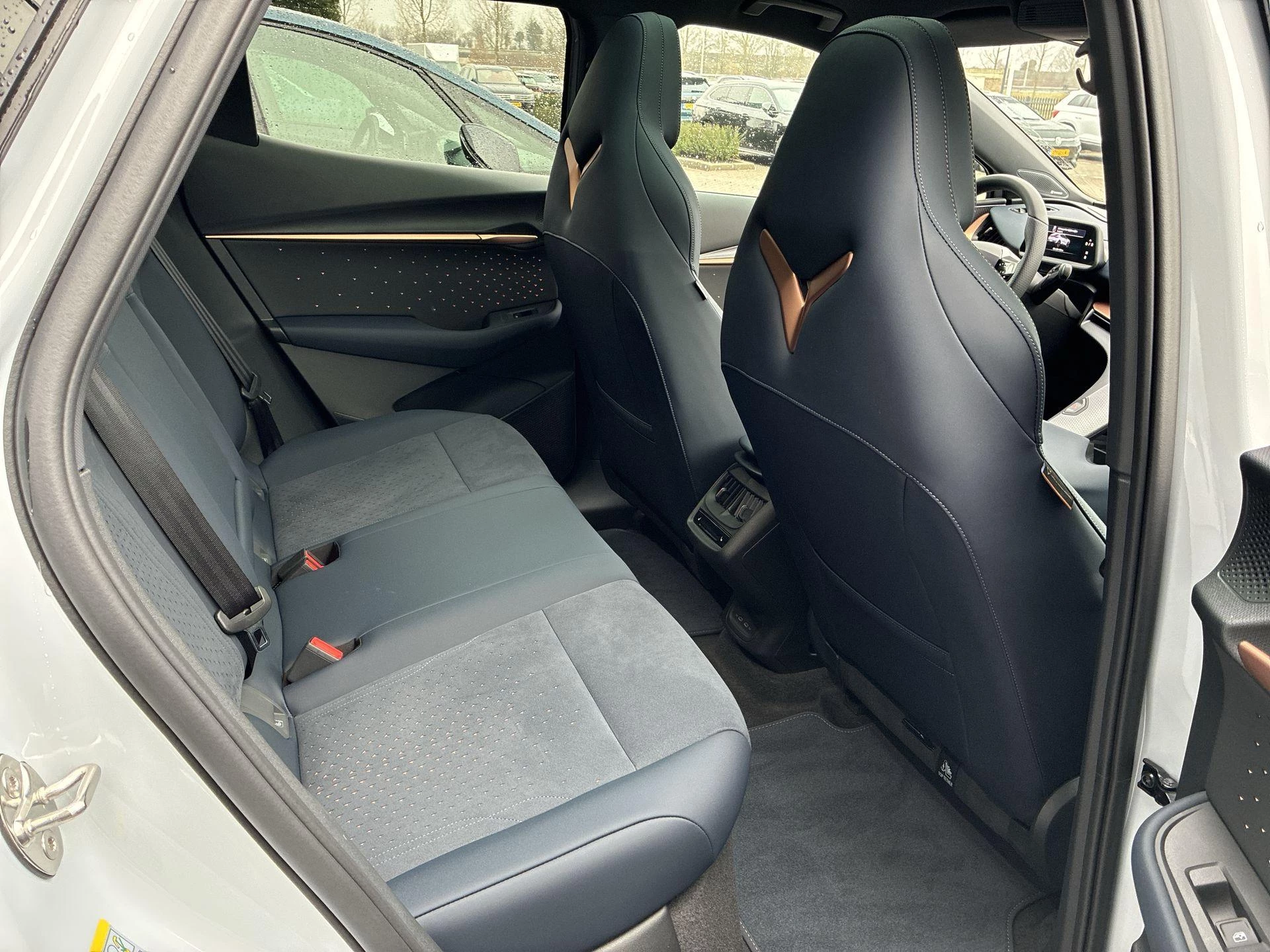 Hoofdafbeelding CUPRA Tavascan