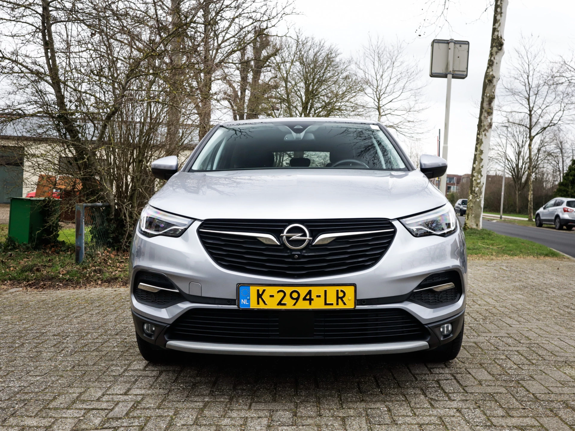 Hoofdafbeelding Opel Grandland X