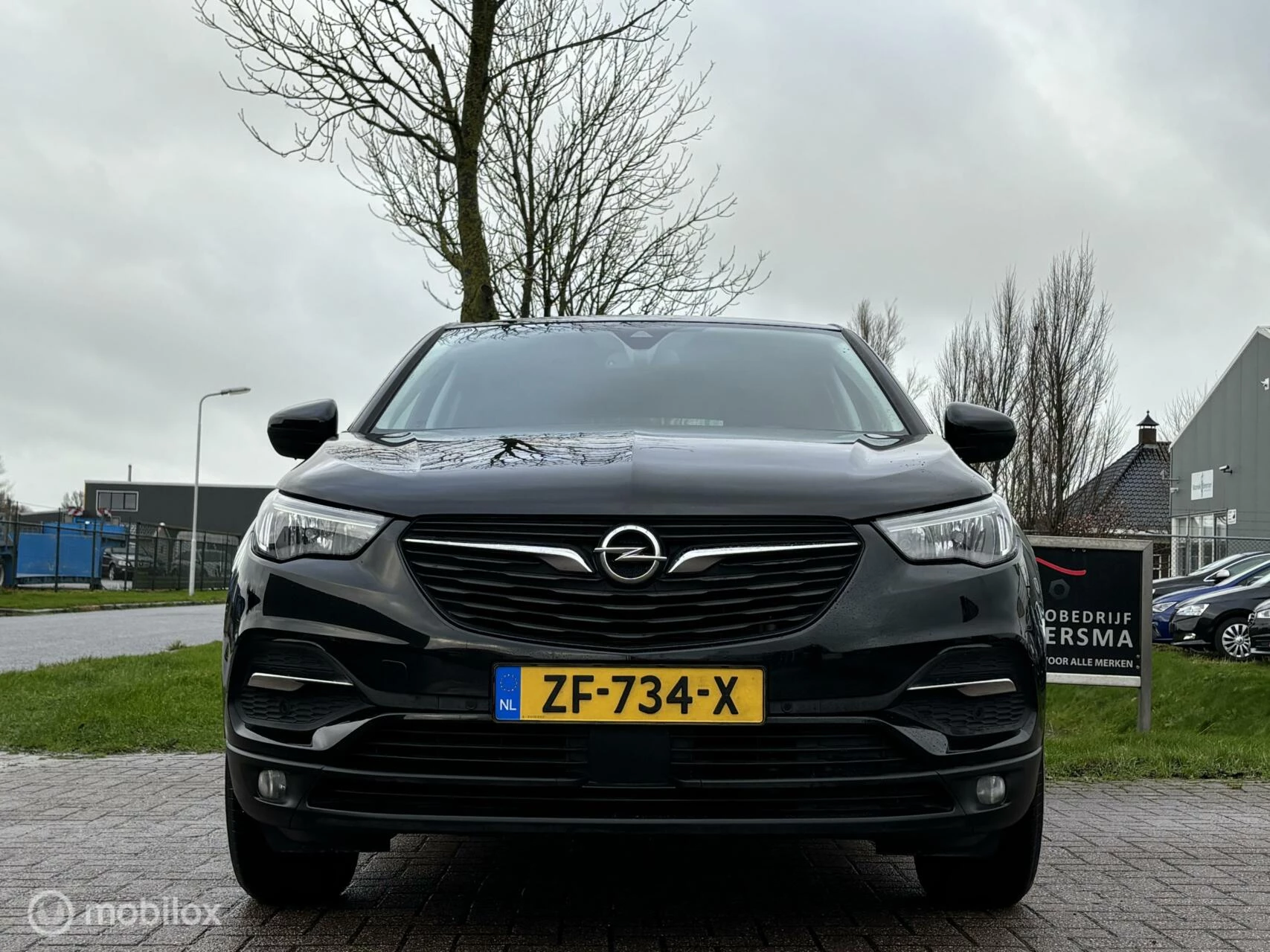 Hoofdafbeelding Opel Grandland X