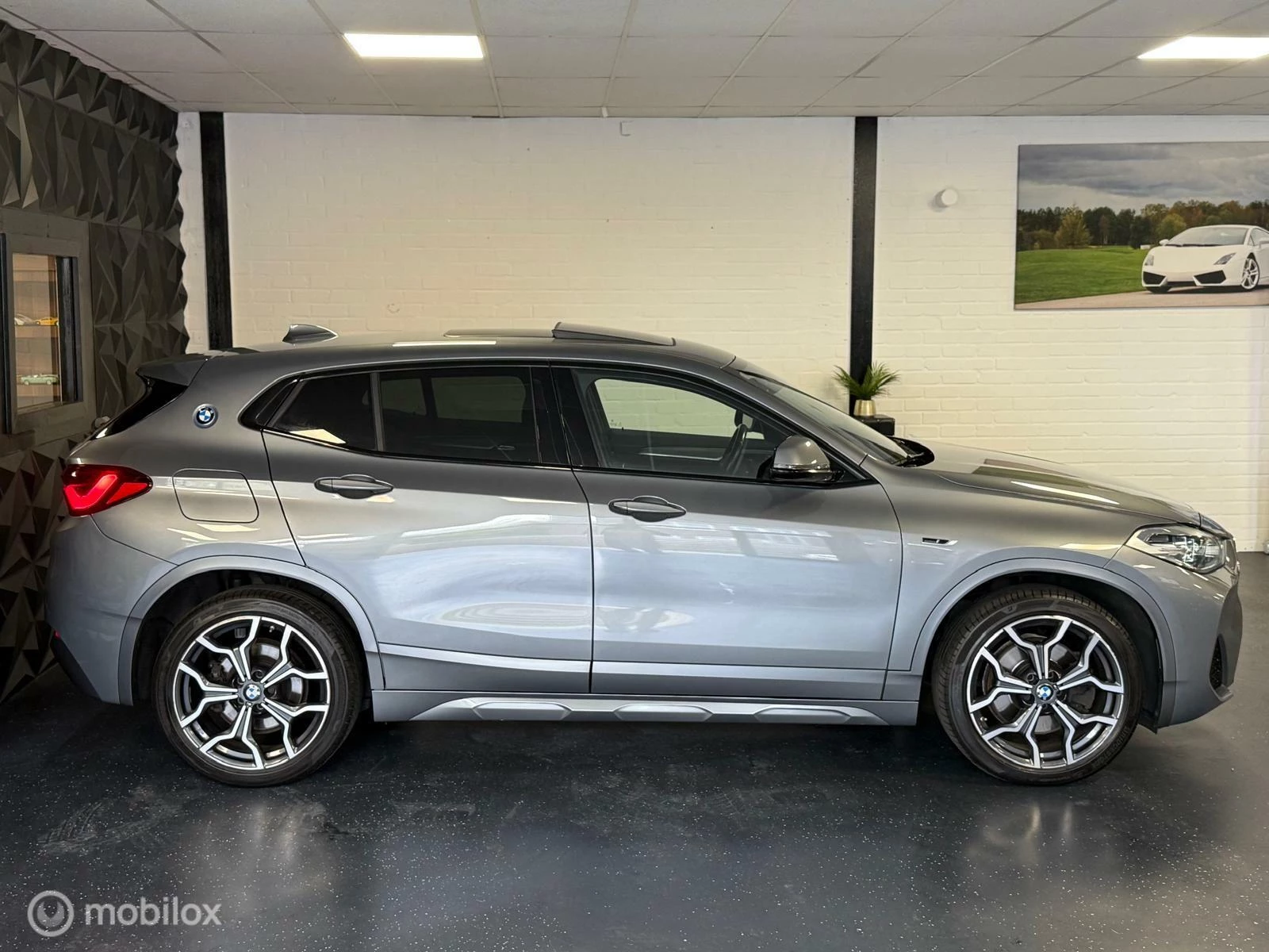 Hoofdafbeelding BMW X2