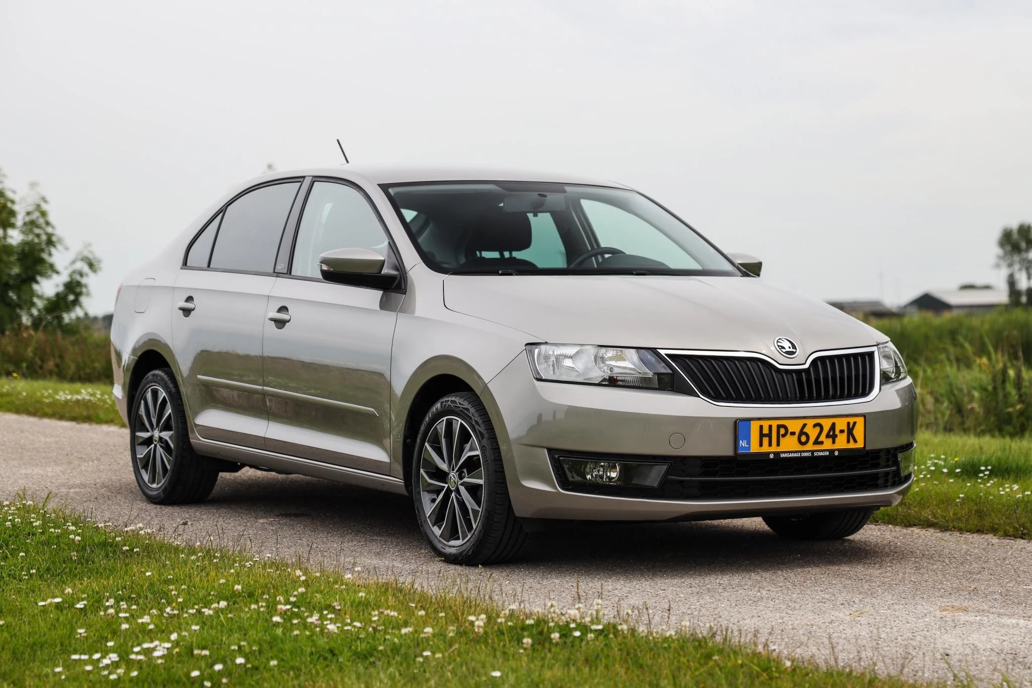 Hoofdafbeelding Škoda Rapid