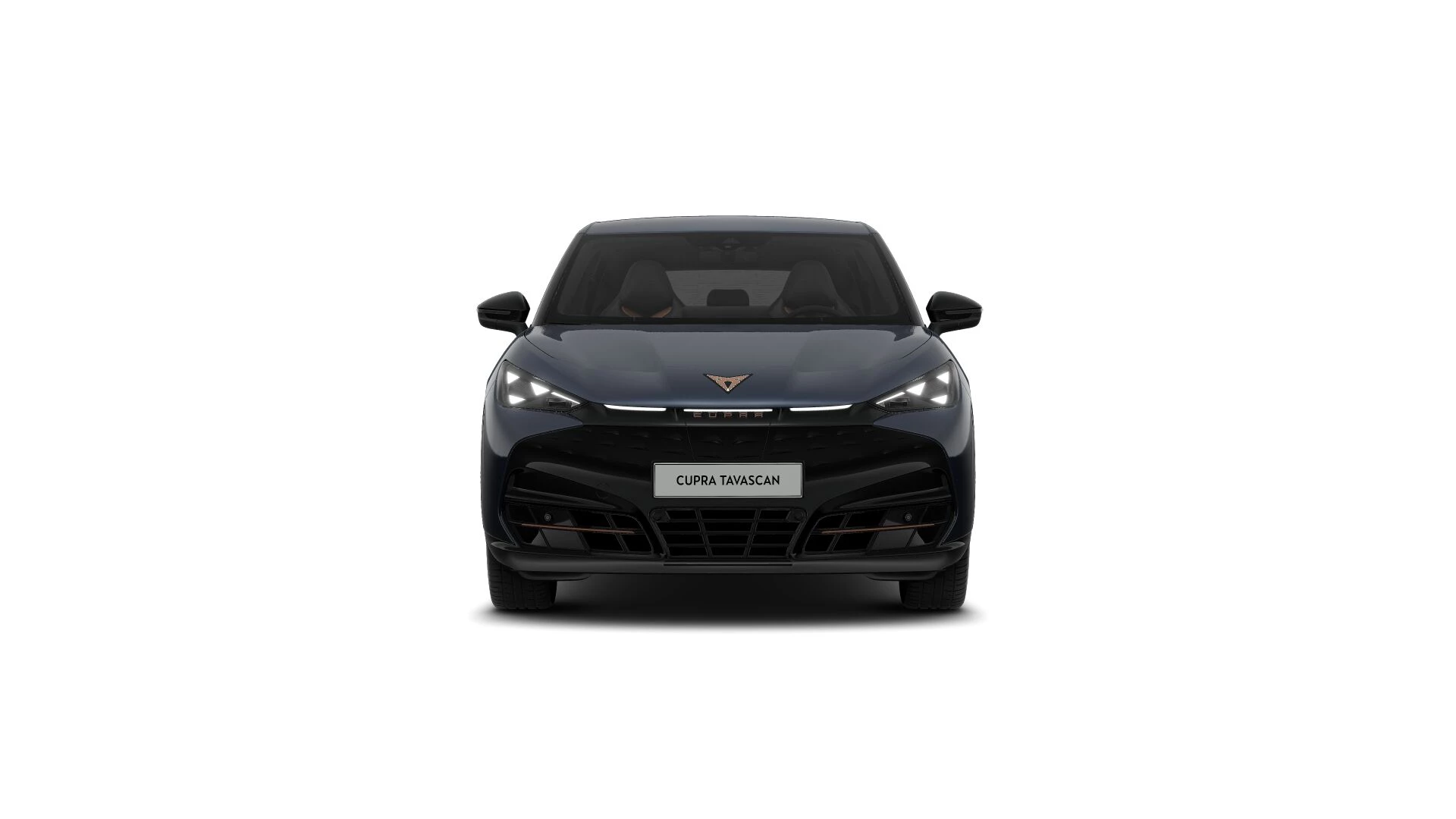 Hoofdafbeelding CUPRA Tavascan