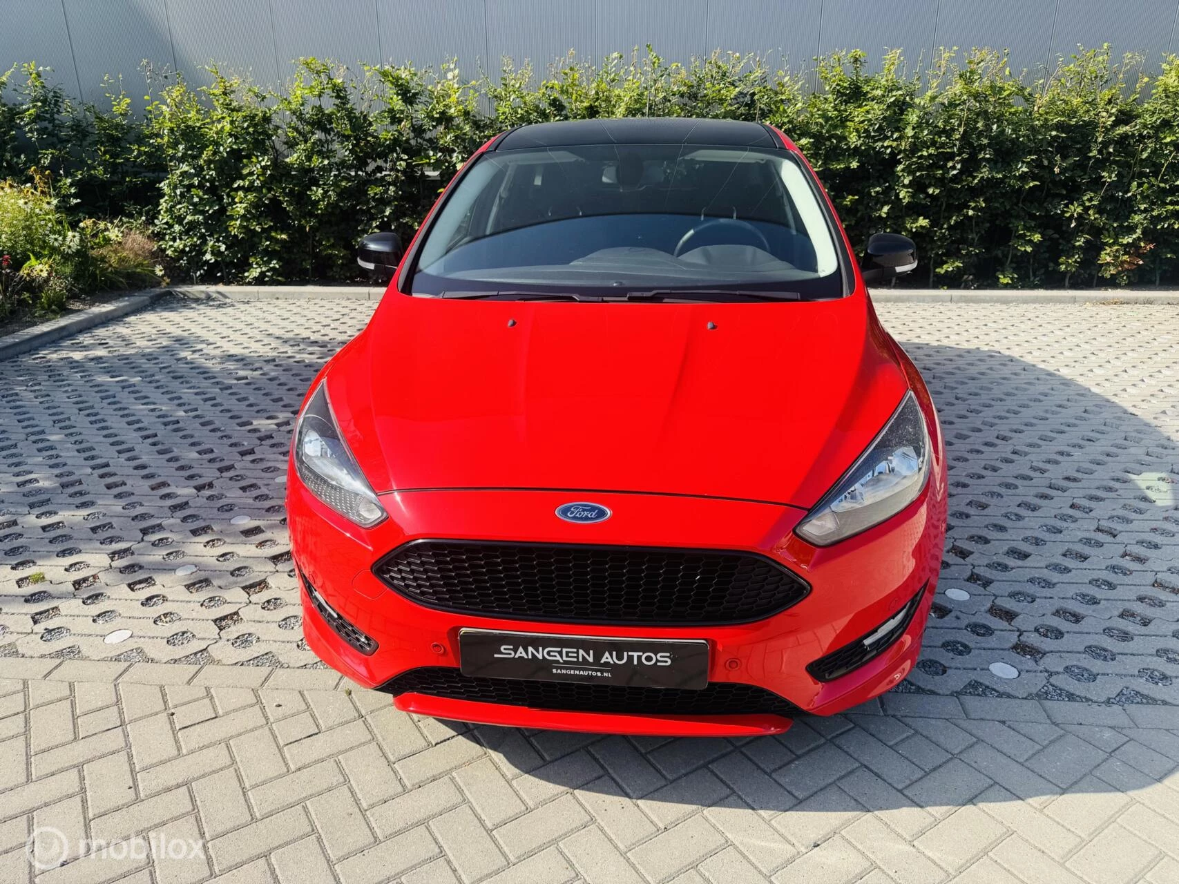Hoofdafbeelding Ford Focus