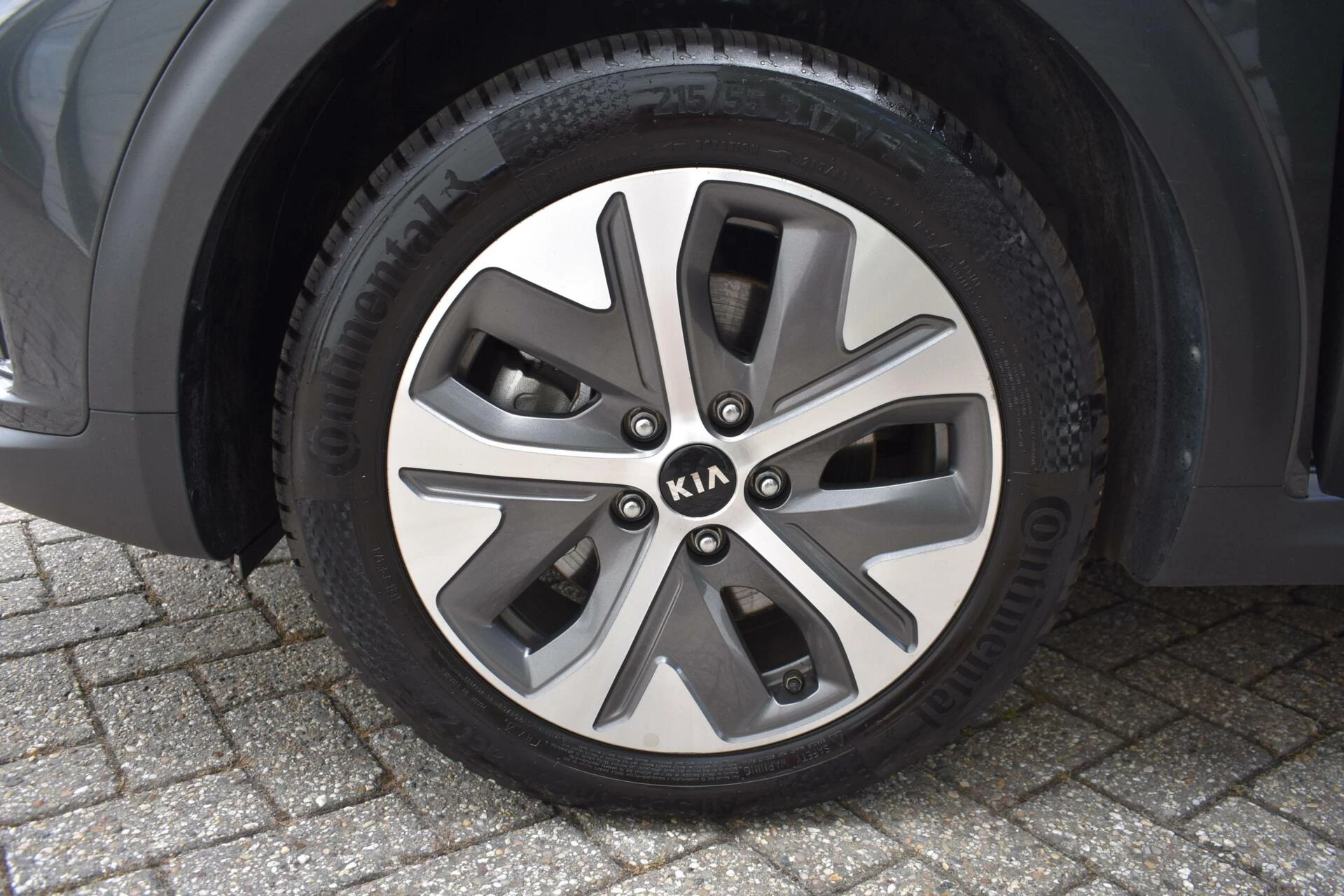 Hoofdafbeelding Kia e-Niro