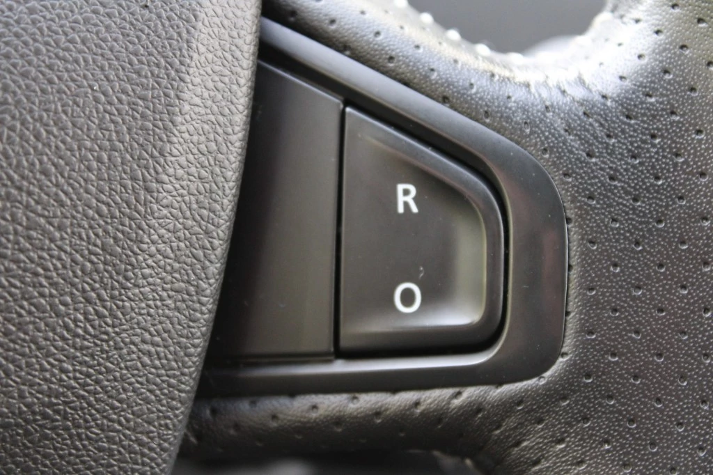 Hoofdafbeelding Renault Scénic