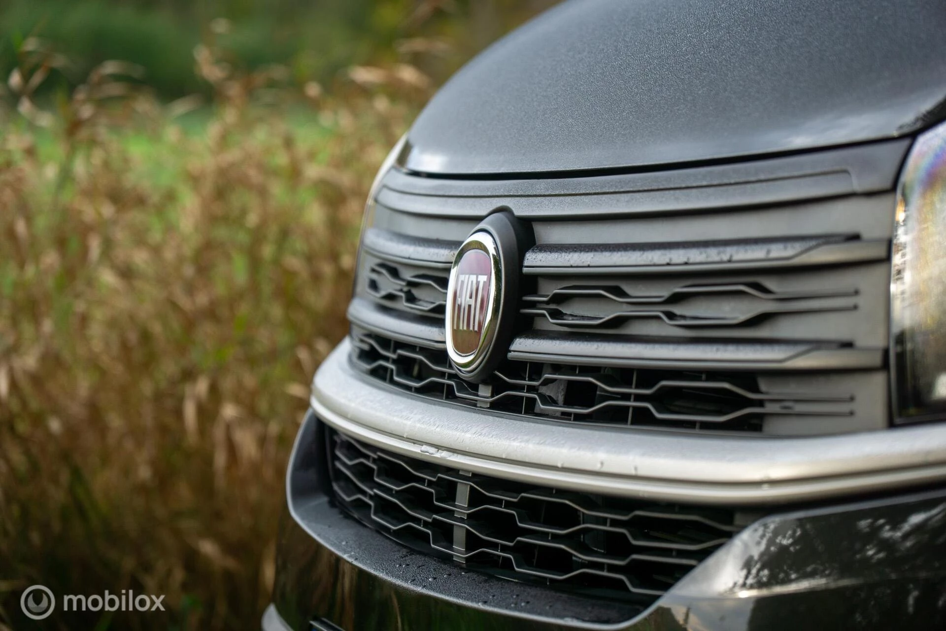 Hoofdafbeelding Fiat Talento