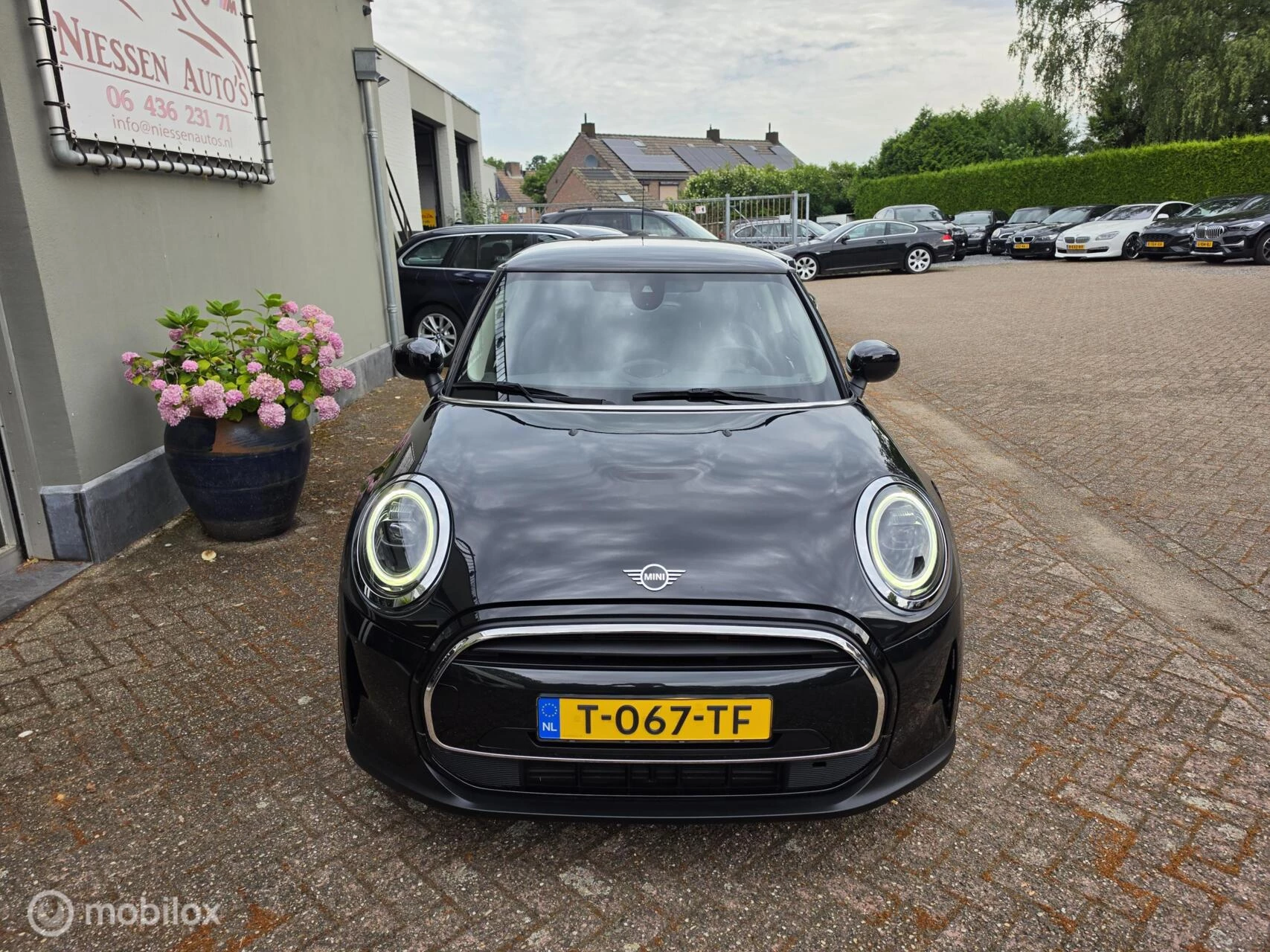 Hoofdafbeelding MINI Cooper