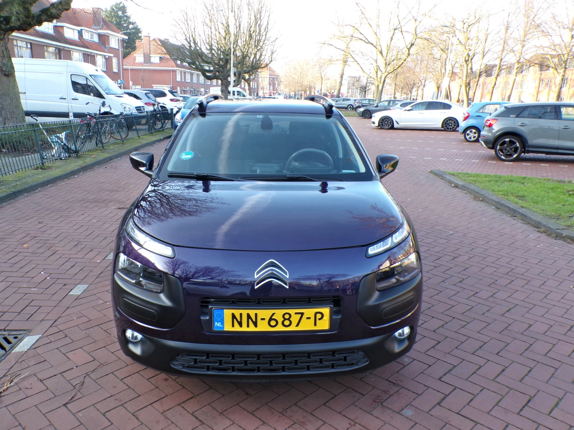 Hoofdafbeelding Citroën C4 Cactus