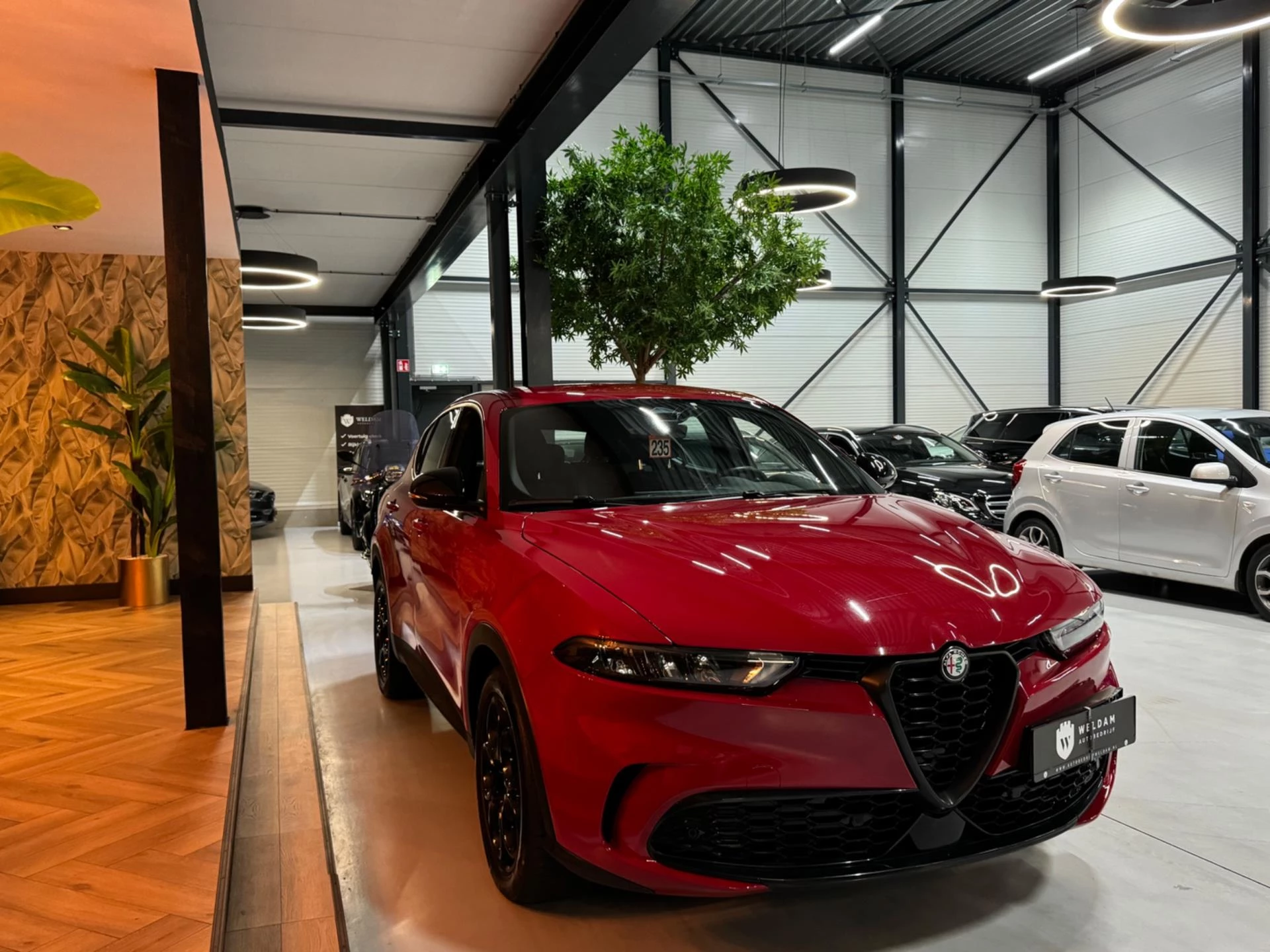 Hoofdafbeelding Alfa Romeo Tonale