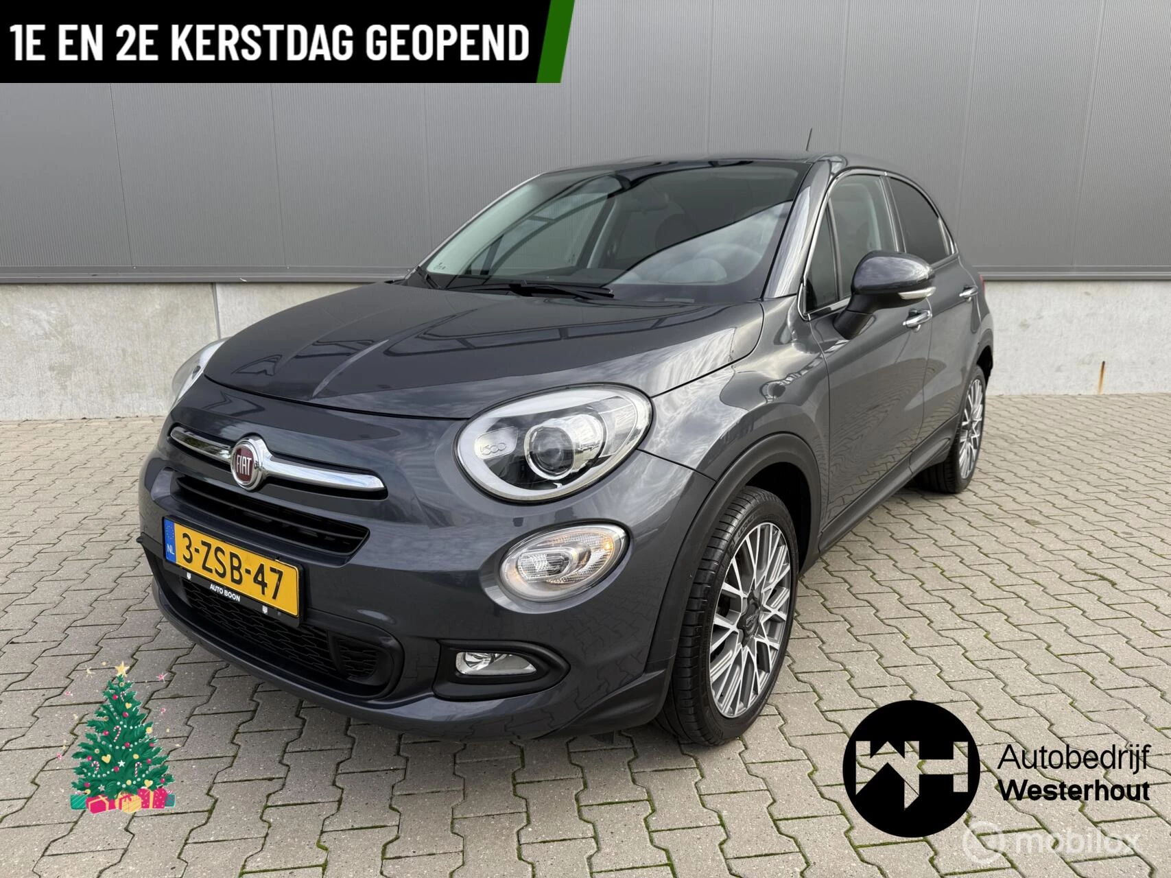 Hoofdafbeelding Fiat 500X