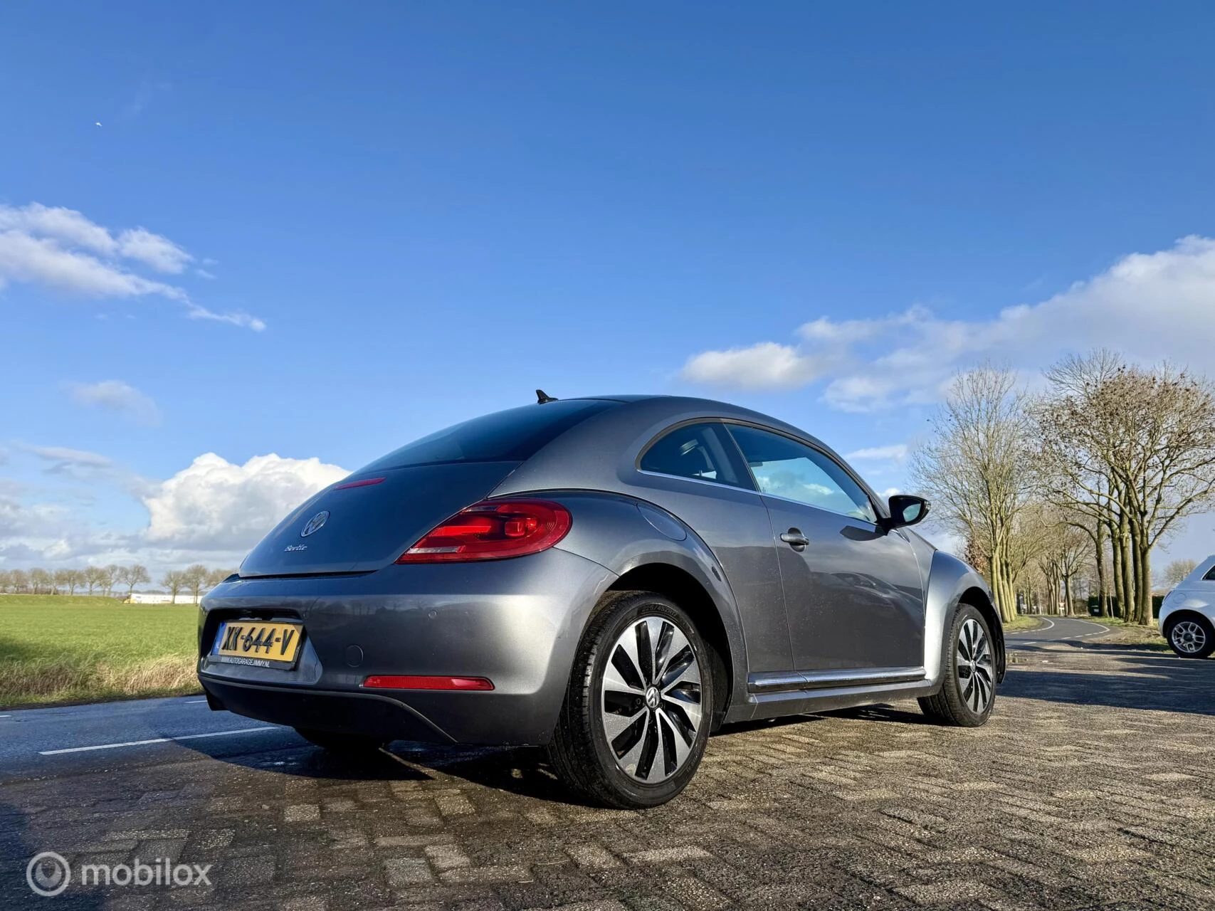 Hoofdafbeelding Volkswagen Beetle