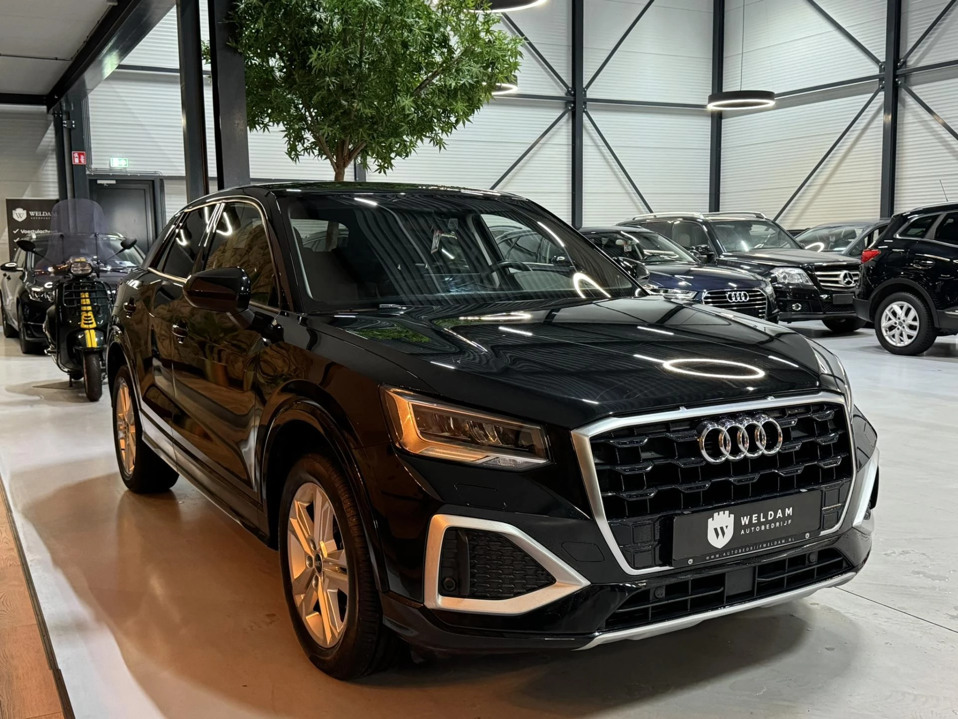 Hoofdafbeelding Audi Q2
