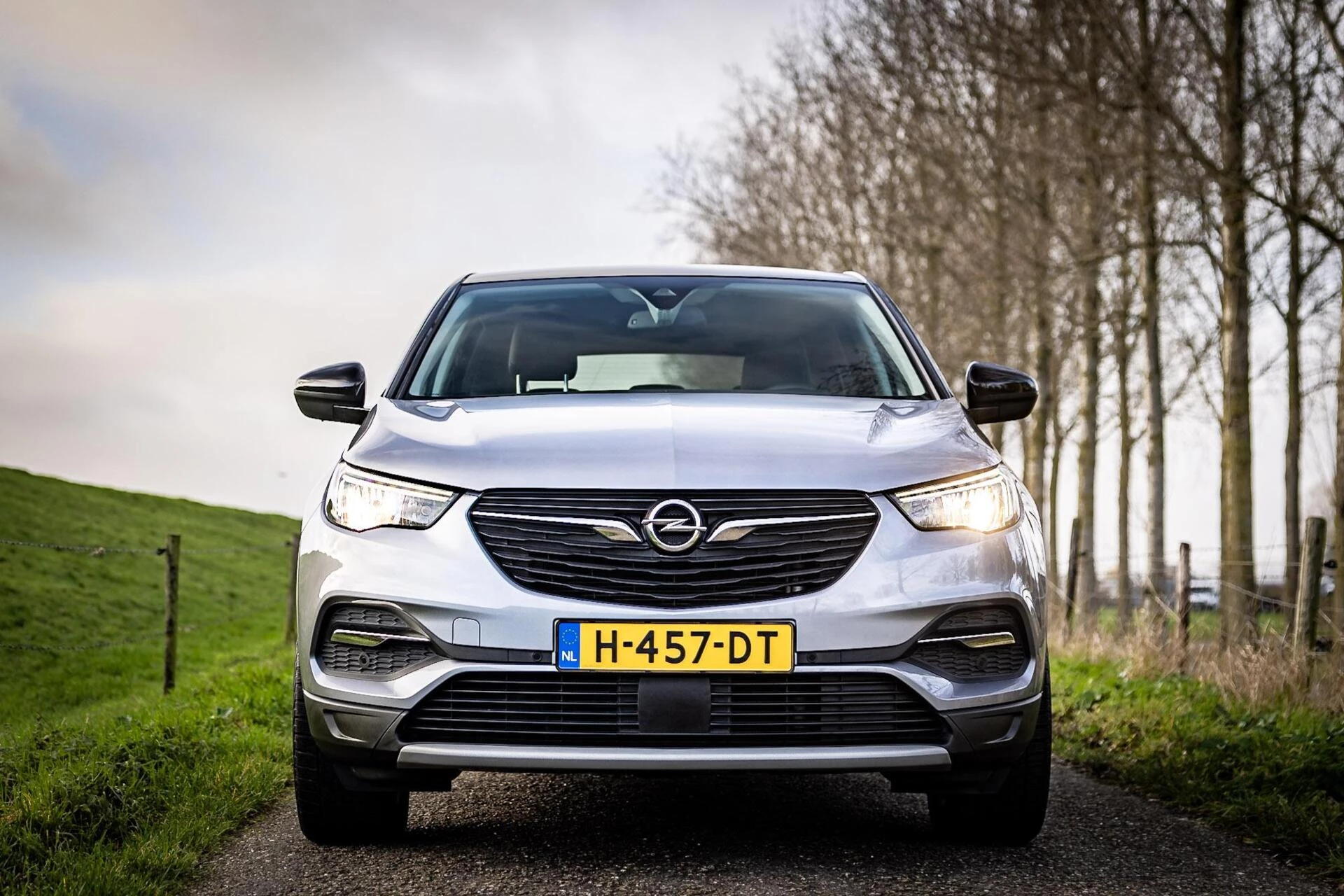 Hoofdafbeelding Opel Grandland X