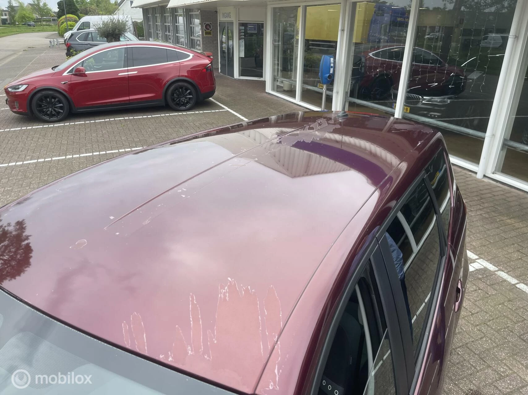 Hoofdafbeelding Renault Scénic