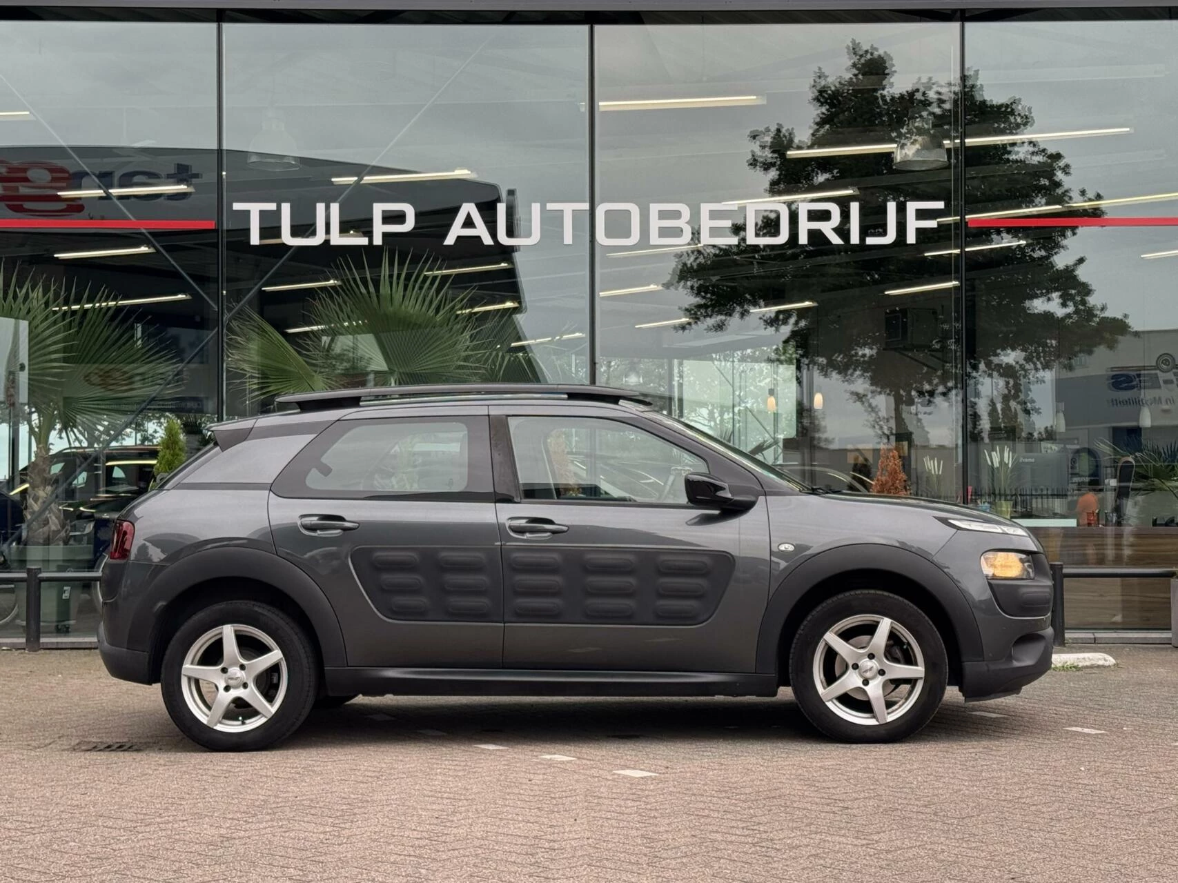 Hoofdafbeelding Citroën C4 Cactus