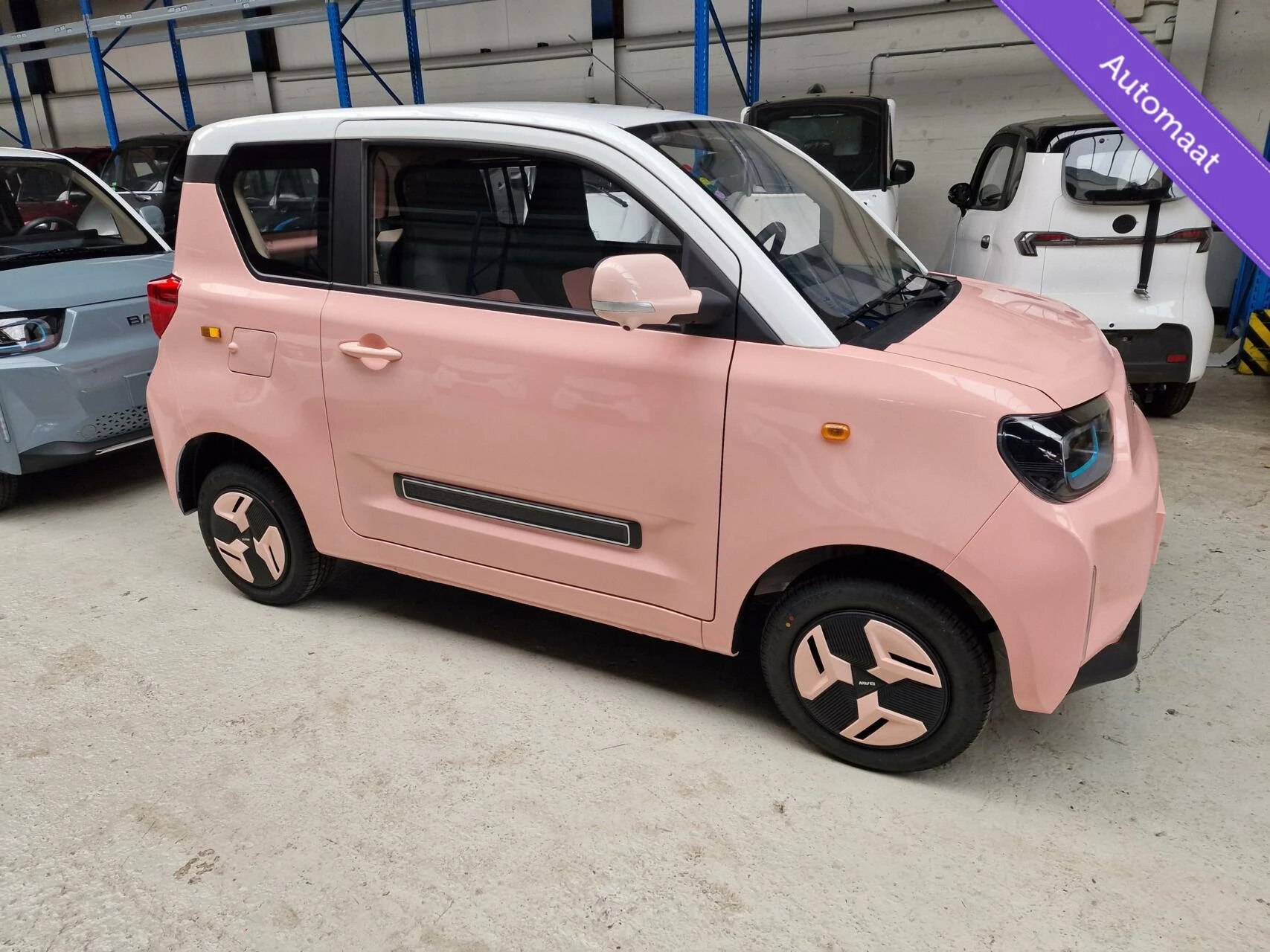 Hoofdafbeelding BAW PONY