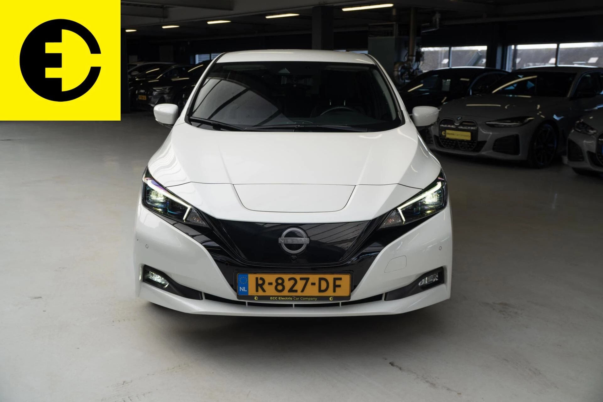 Hoofdafbeelding Nissan Leaf