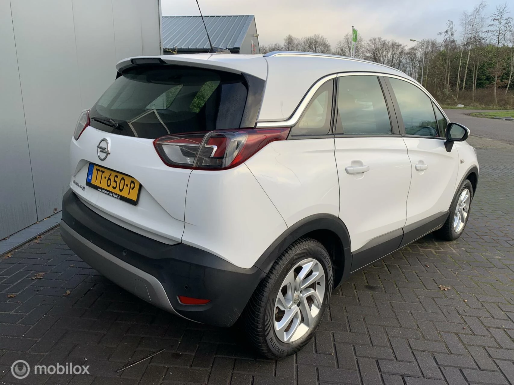 Hoofdafbeelding Opel Crossland X