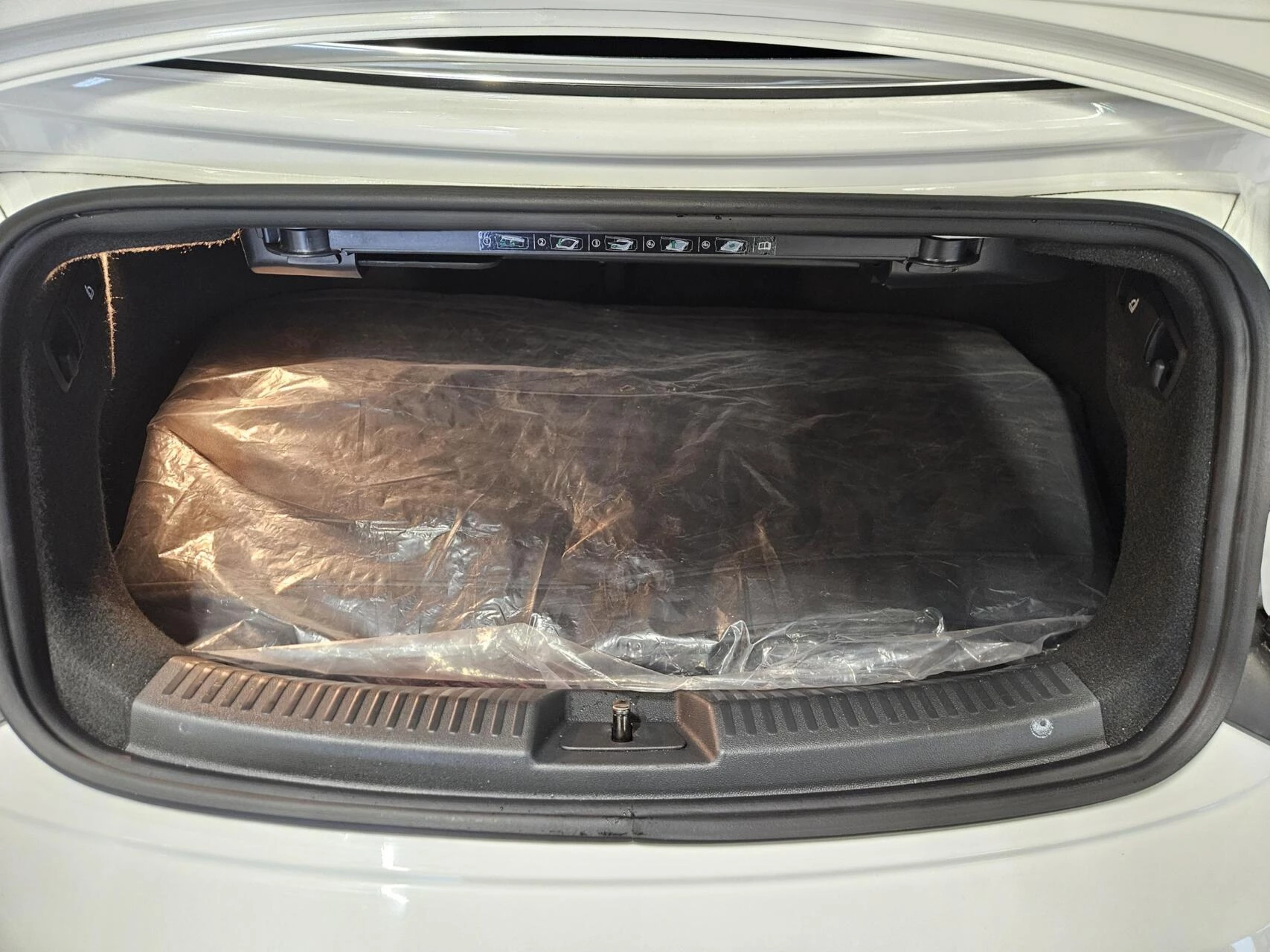 Hoofdafbeelding Volkswagen Beetle