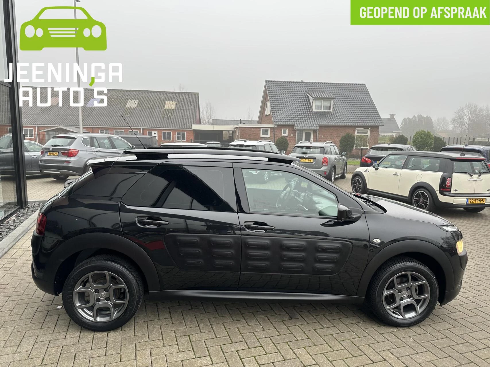 Hoofdafbeelding Citroën C4 Cactus