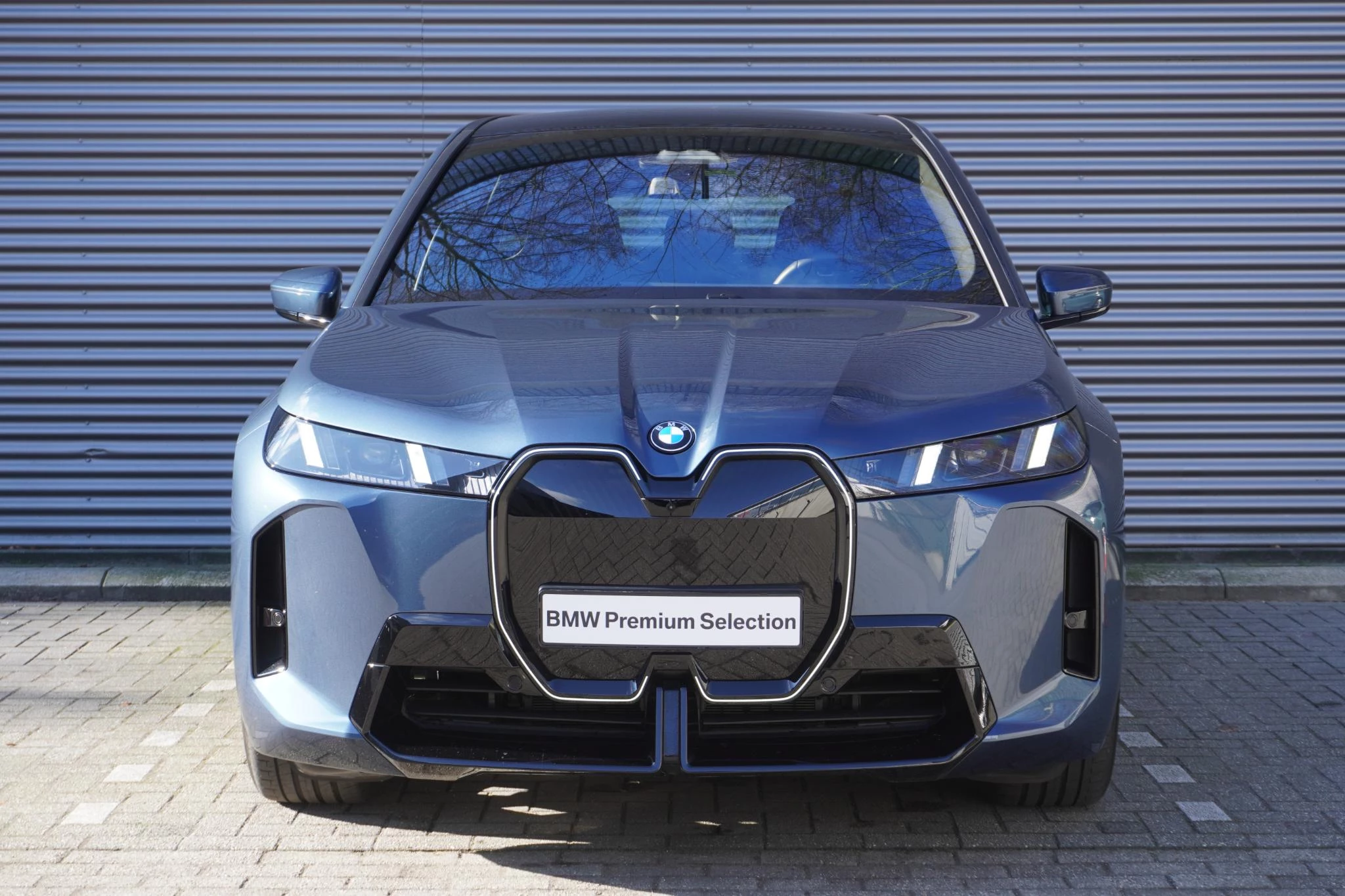 Hoofdafbeelding BMW iX