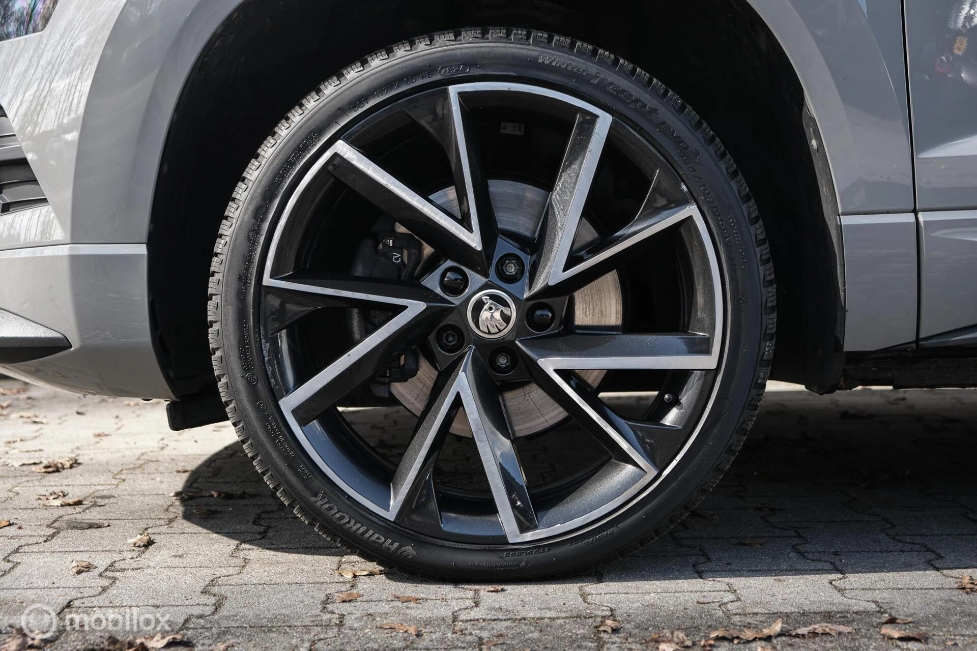 Hoofdafbeelding Škoda Karoq